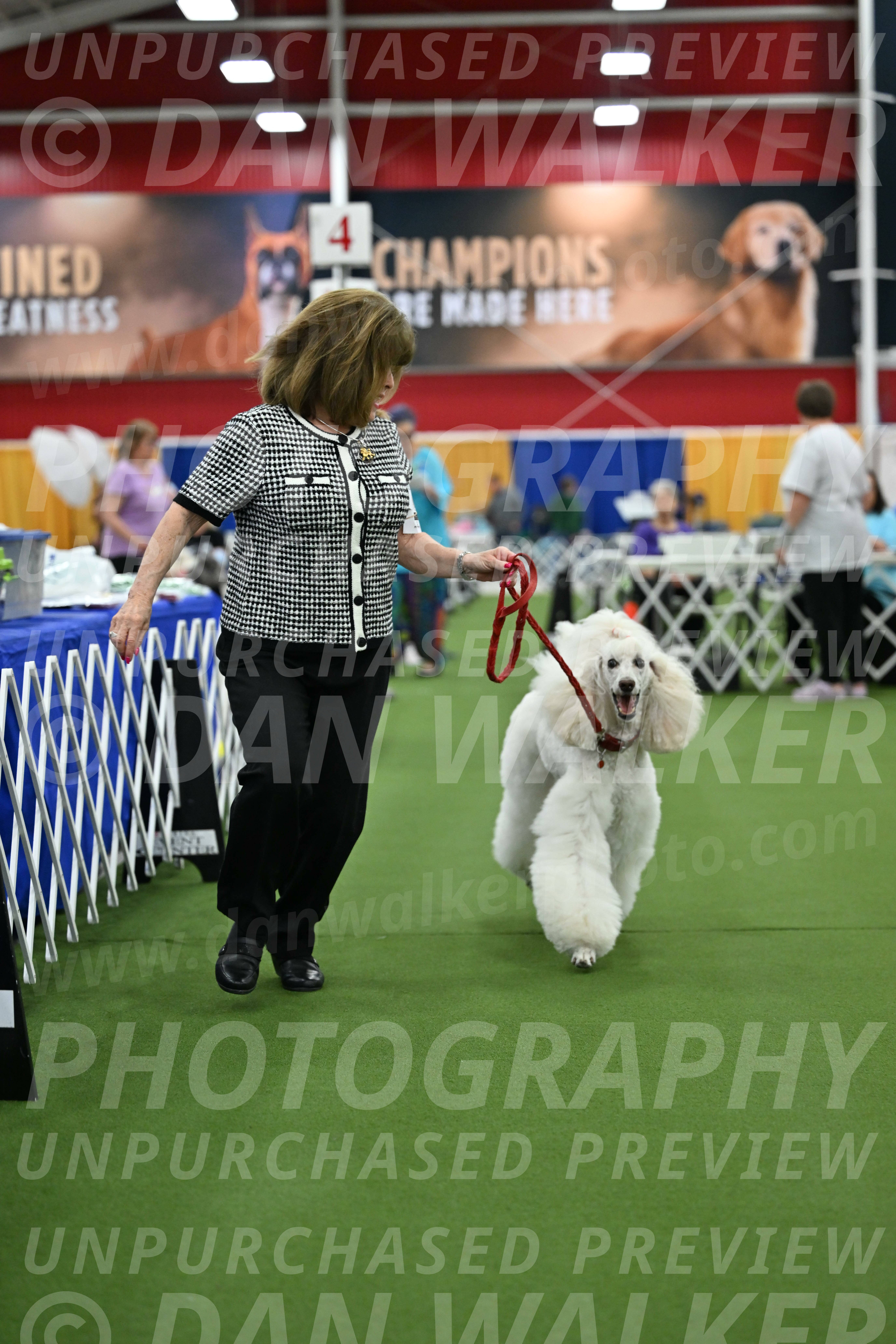 Parade-of-Titles_2786