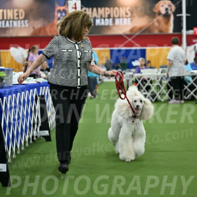 Parade-of-Titles_2787