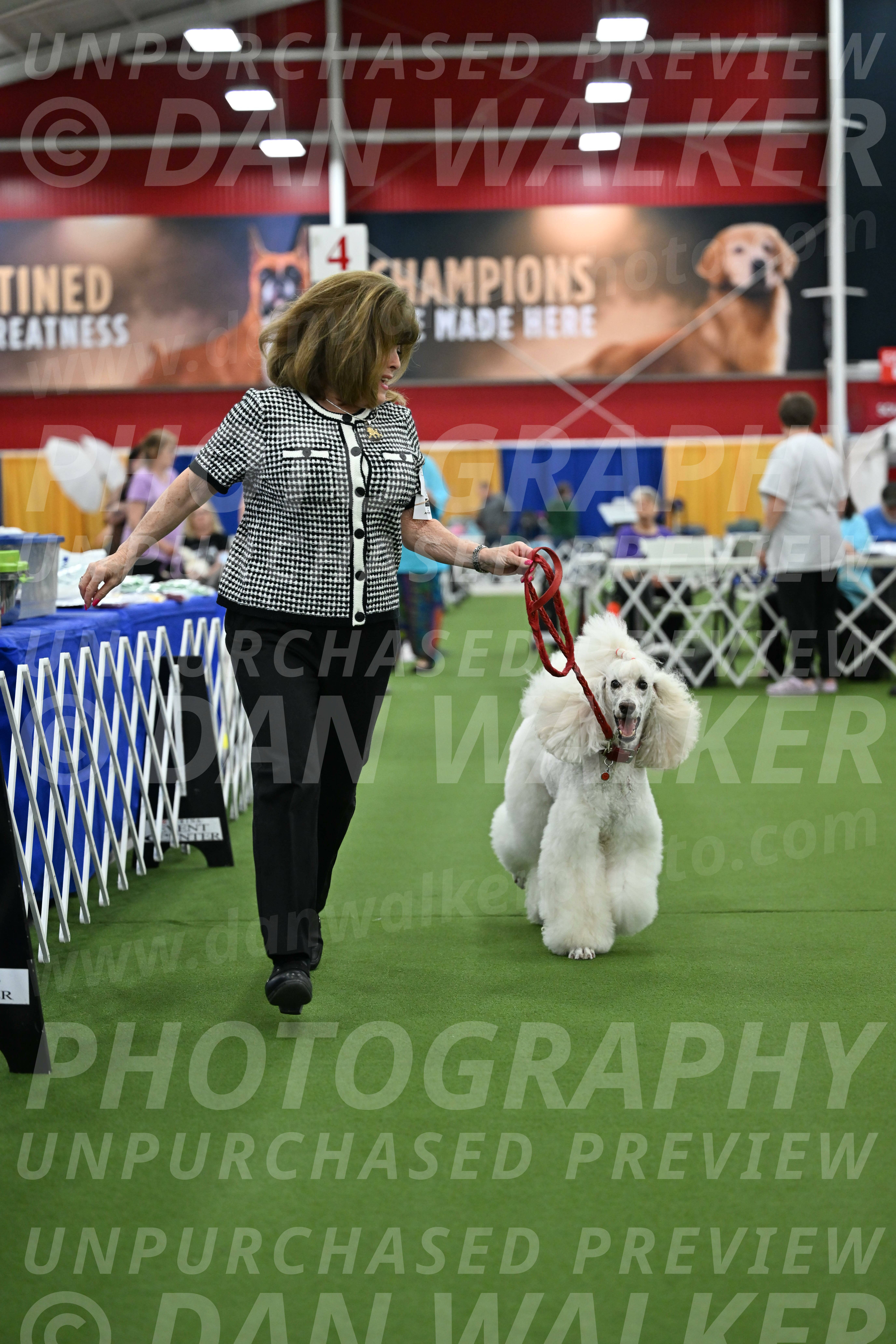 Parade-of-Titles_2787