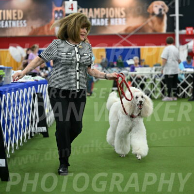 Parade-of-Titles_2788