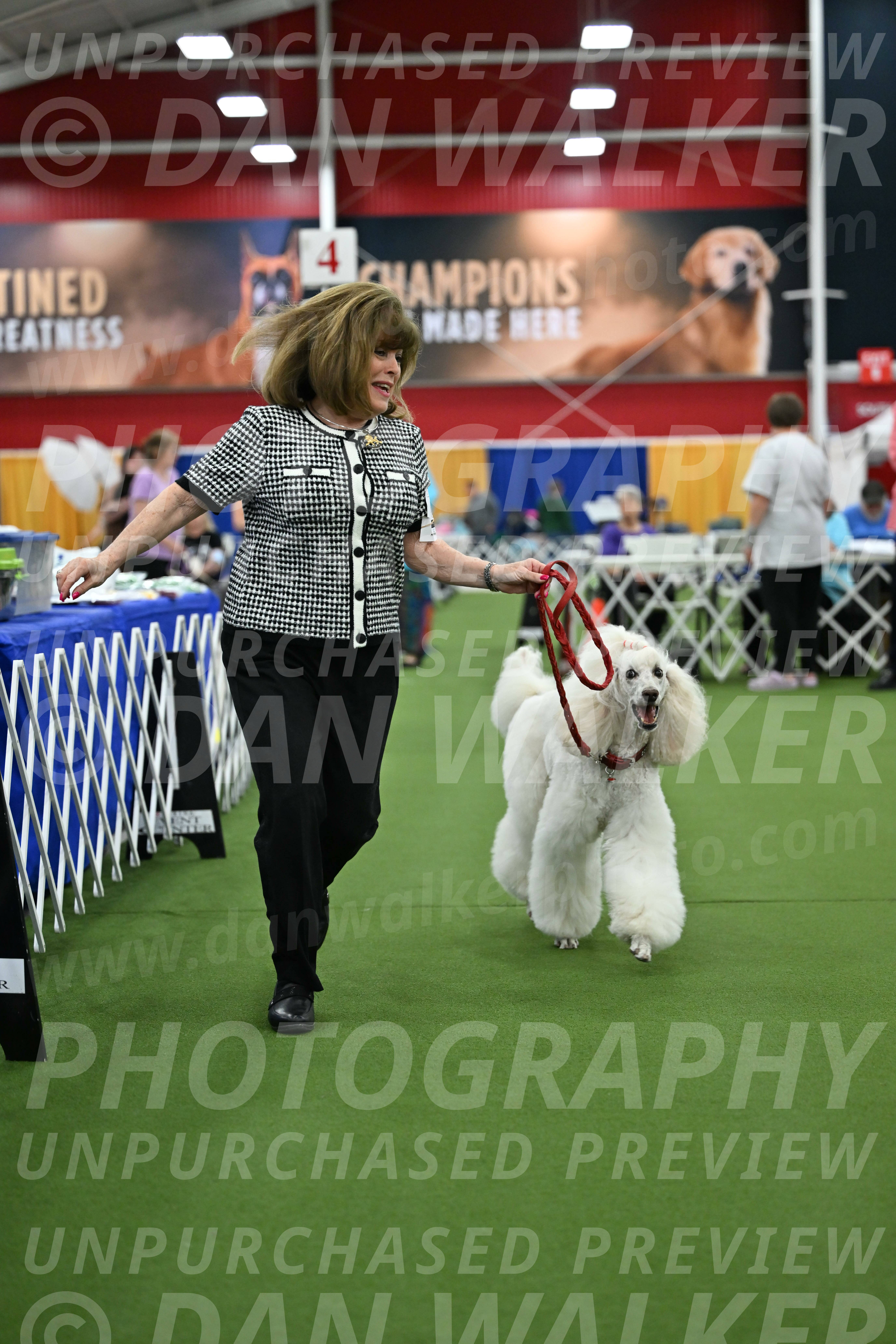 Parade-of-Titles_2788
