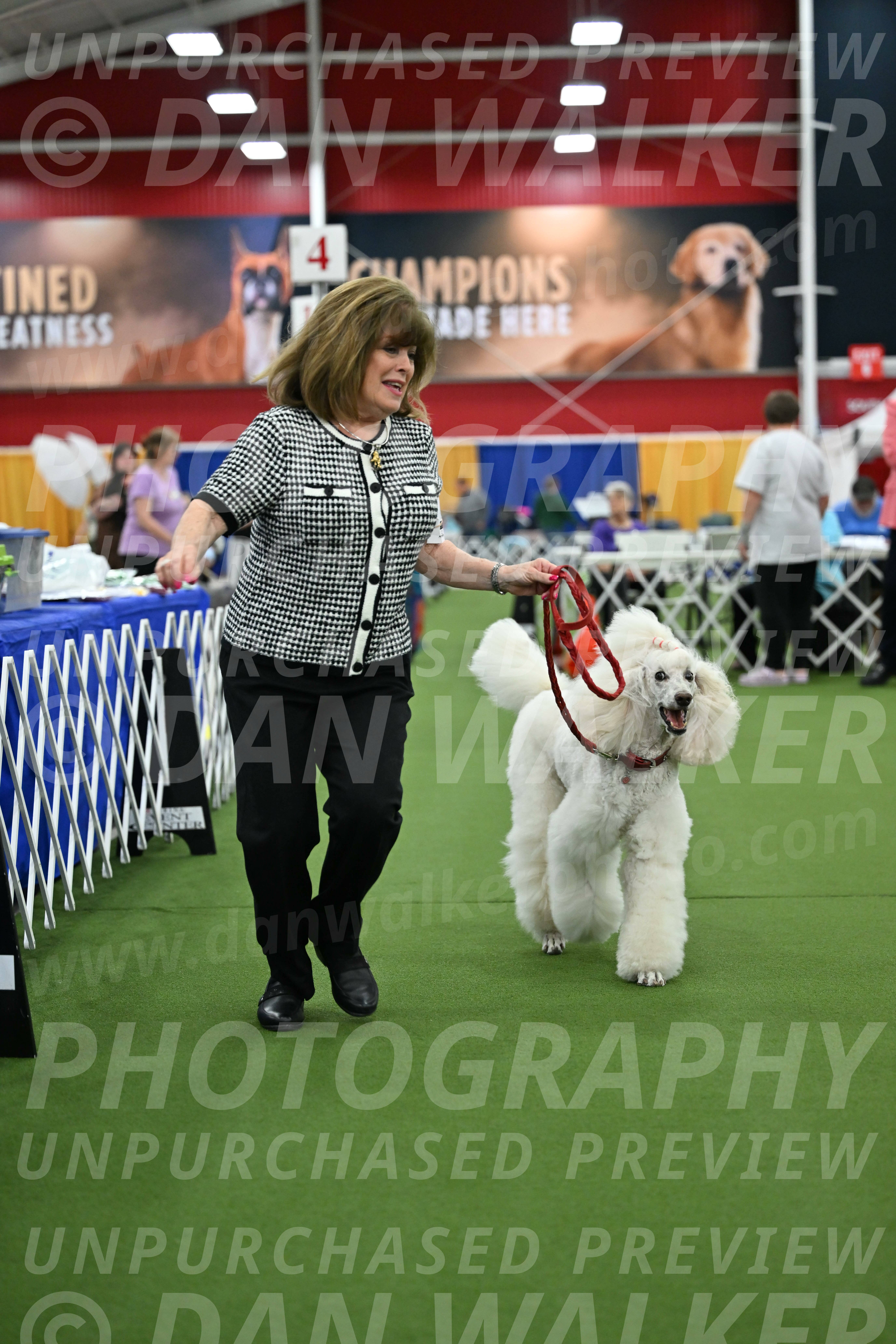 Parade-of-Titles_2789