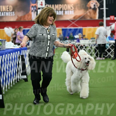 Parade-of-Titles_2789