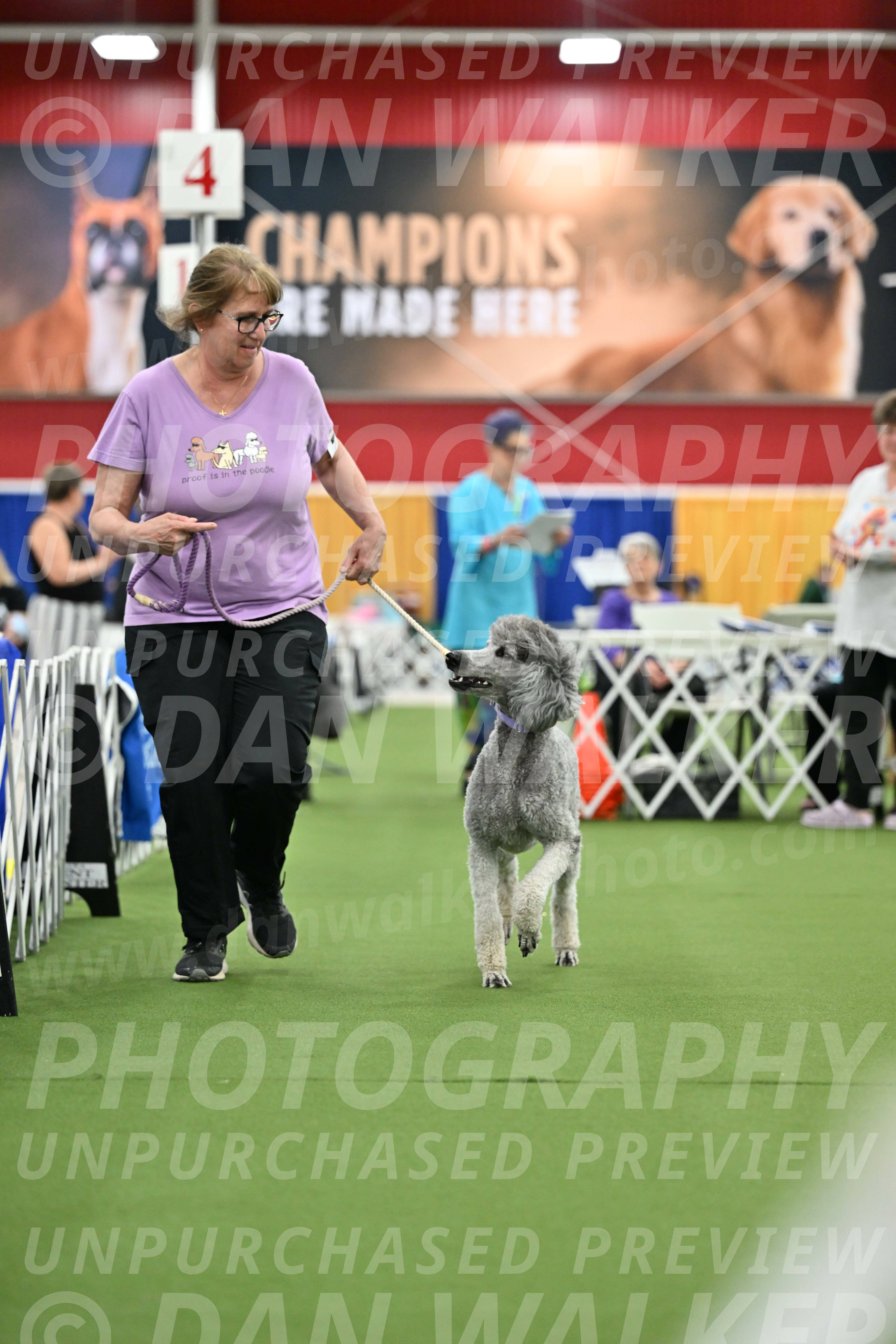 Parade-of-Titles_2790
