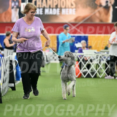 Parade-of-Titles_2790