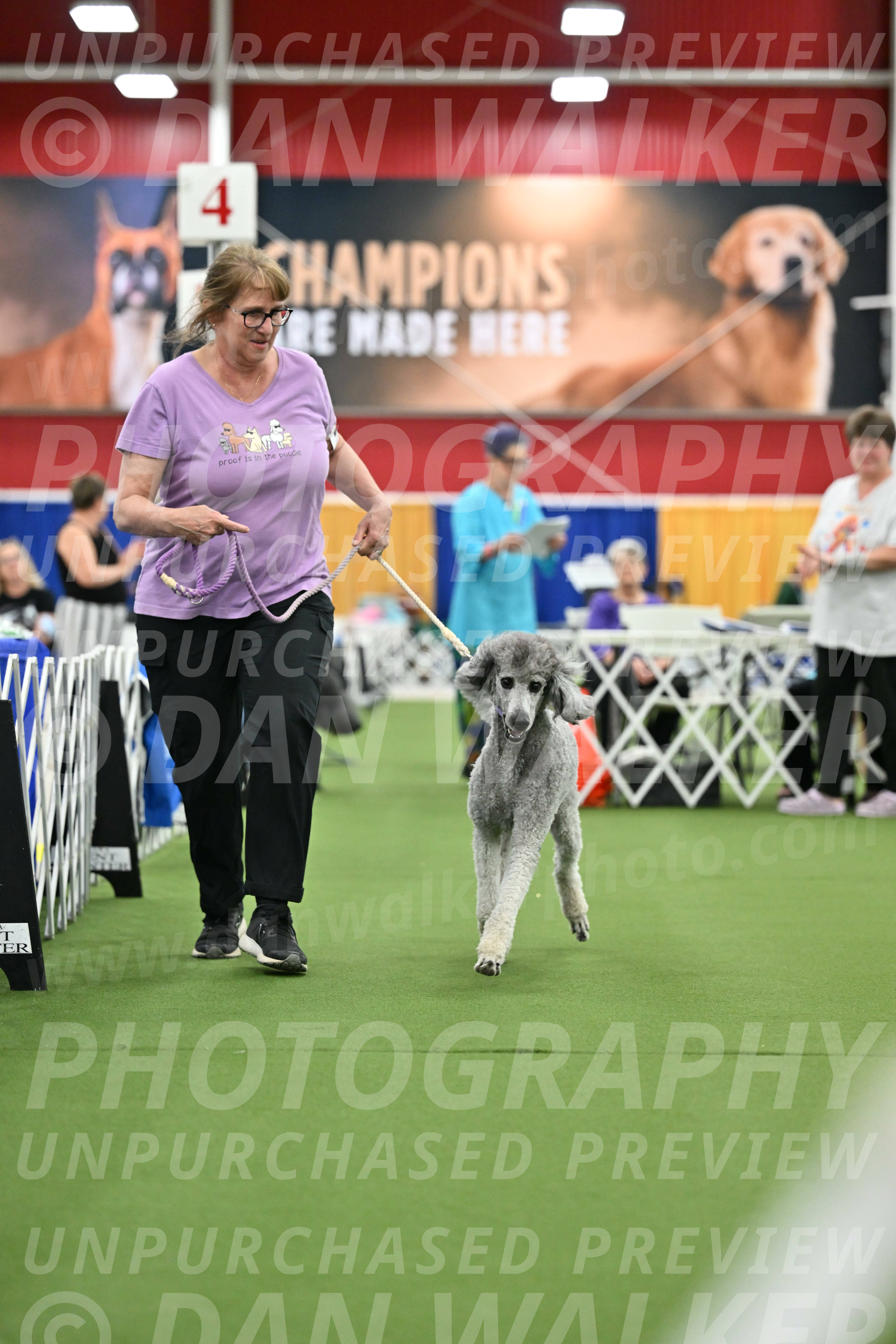Parade-of-Titles_2791