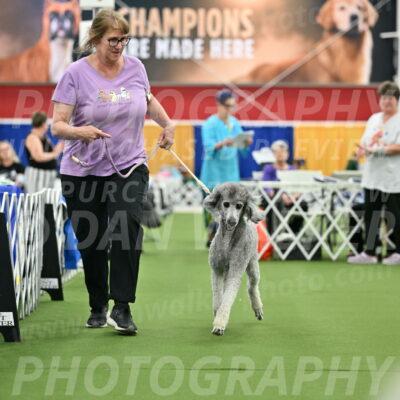 Parade-of-Titles_2791