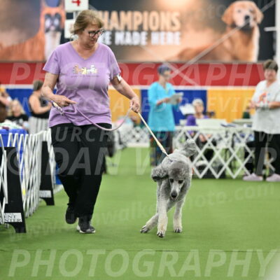 Parade-of-Titles_2792