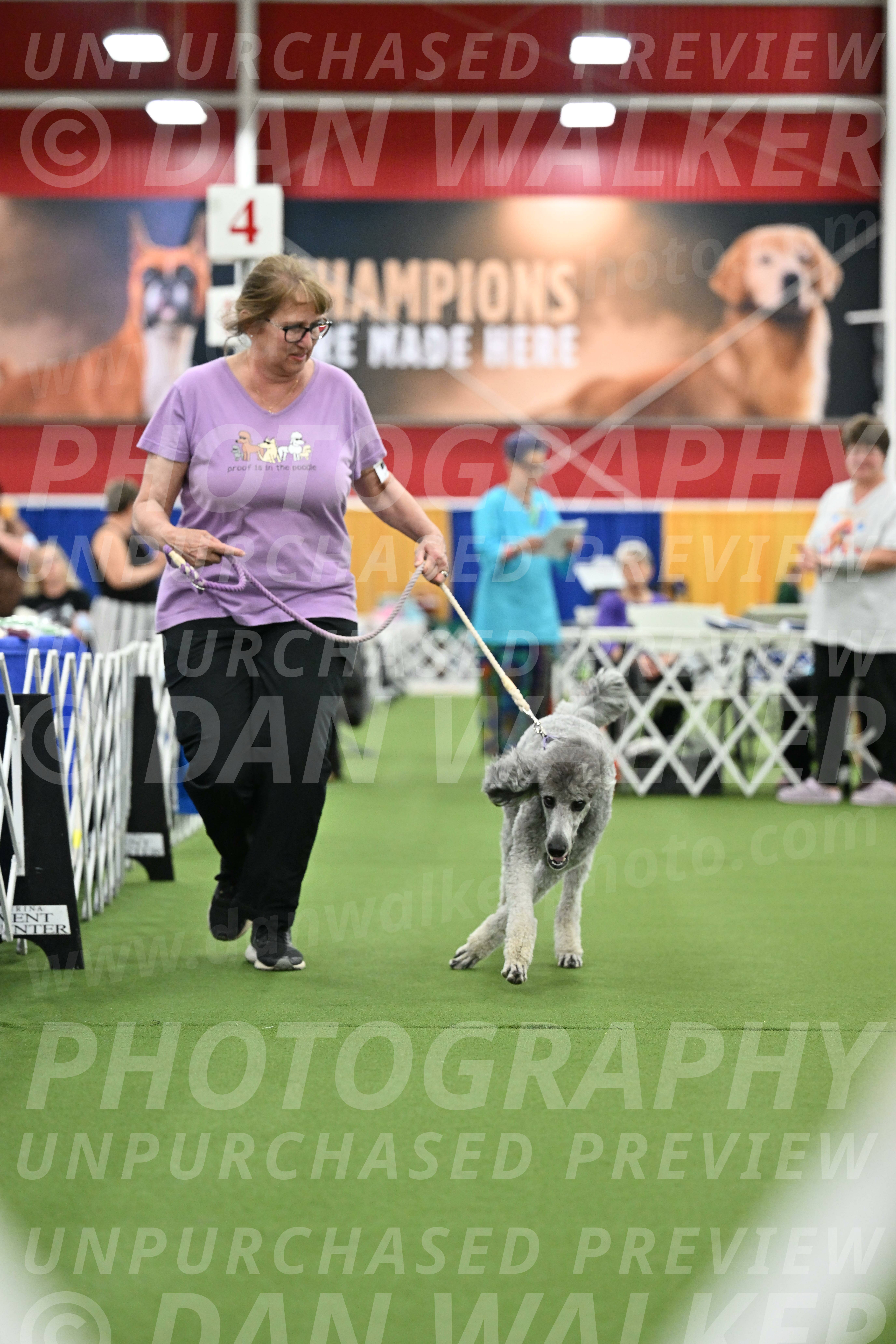 Parade-of-Titles_2792