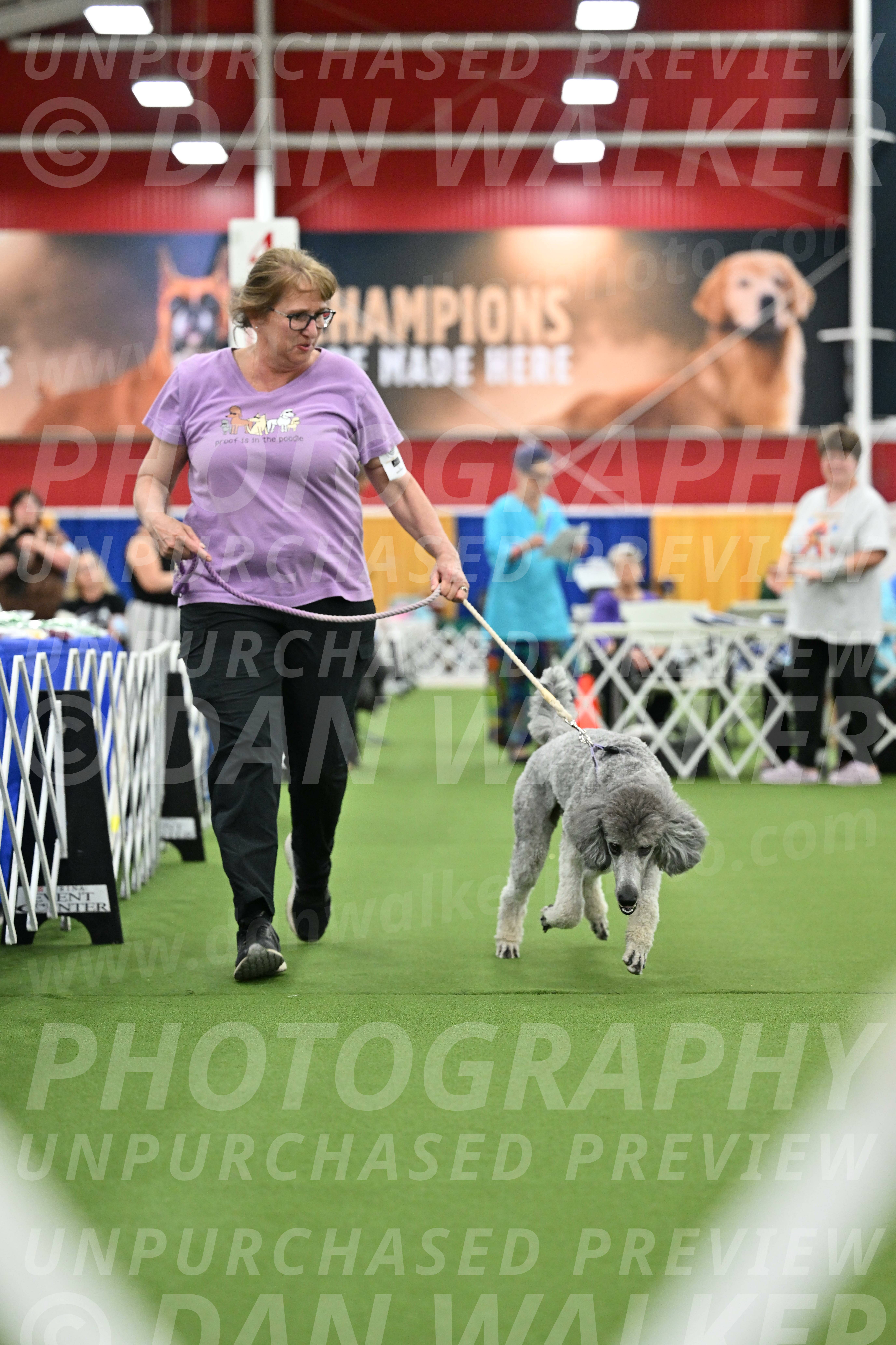 Parade-of-Titles_2793