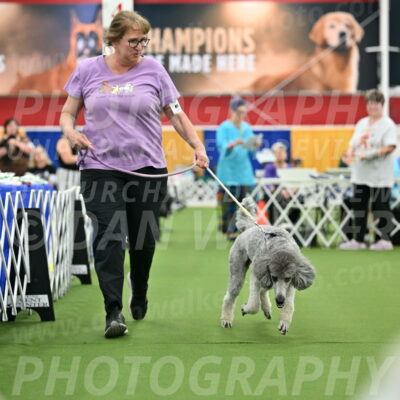 Parade-of-Titles_2793