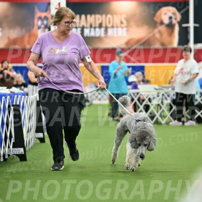 Parade-of-Titles_2794