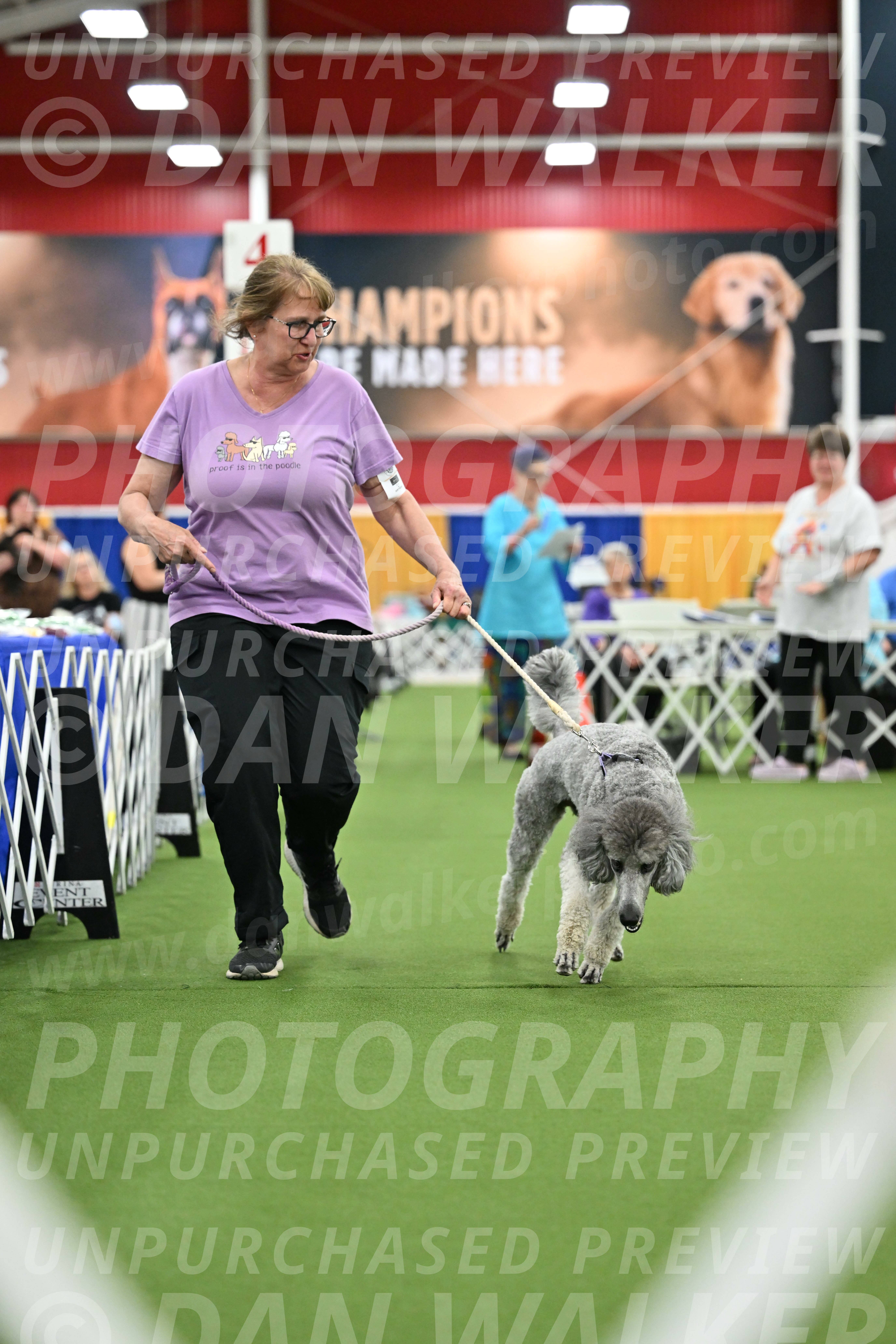 Parade-of-Titles_2794