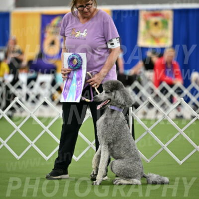 Parade-of-Titles_2795