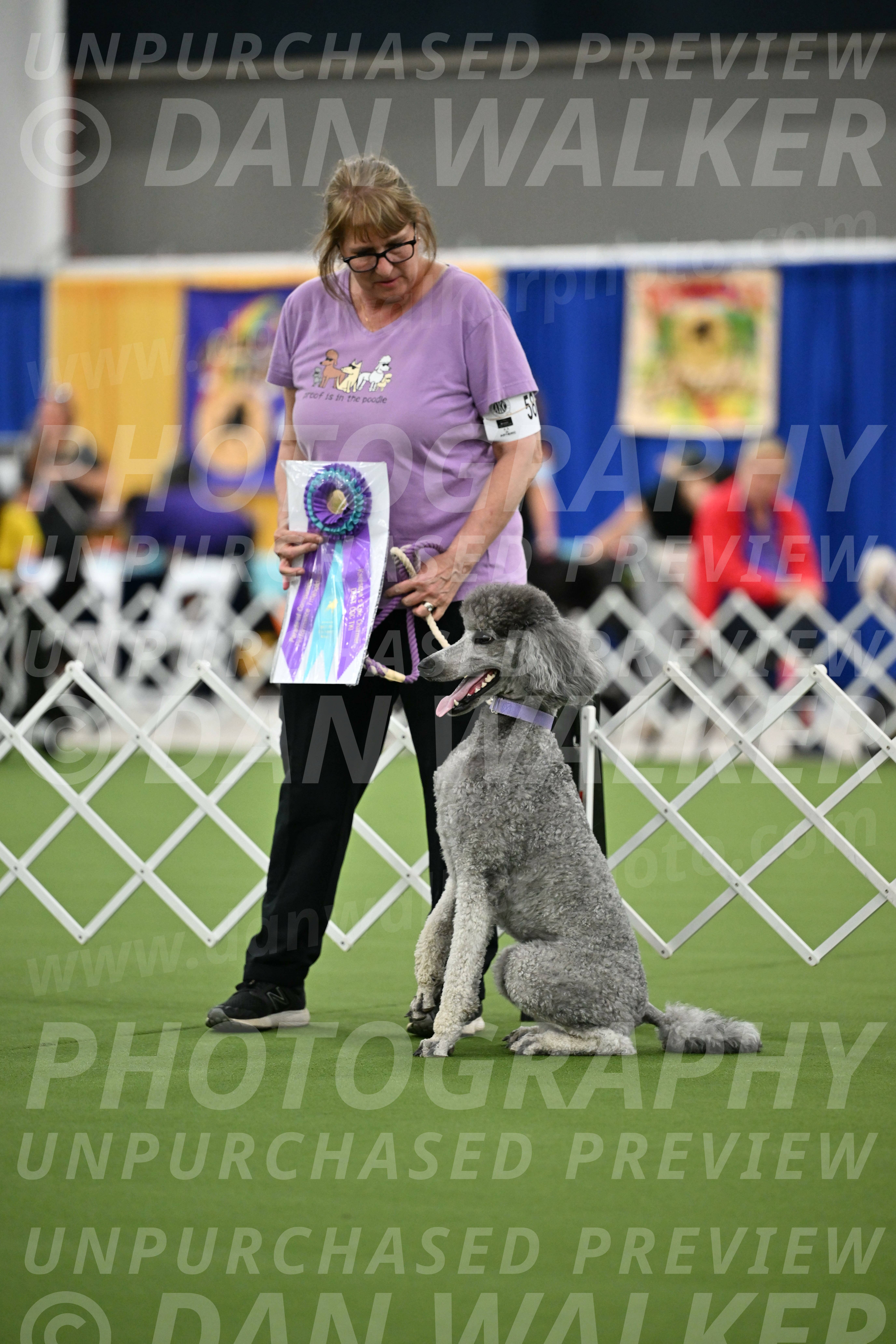 Parade-of-Titles_2795