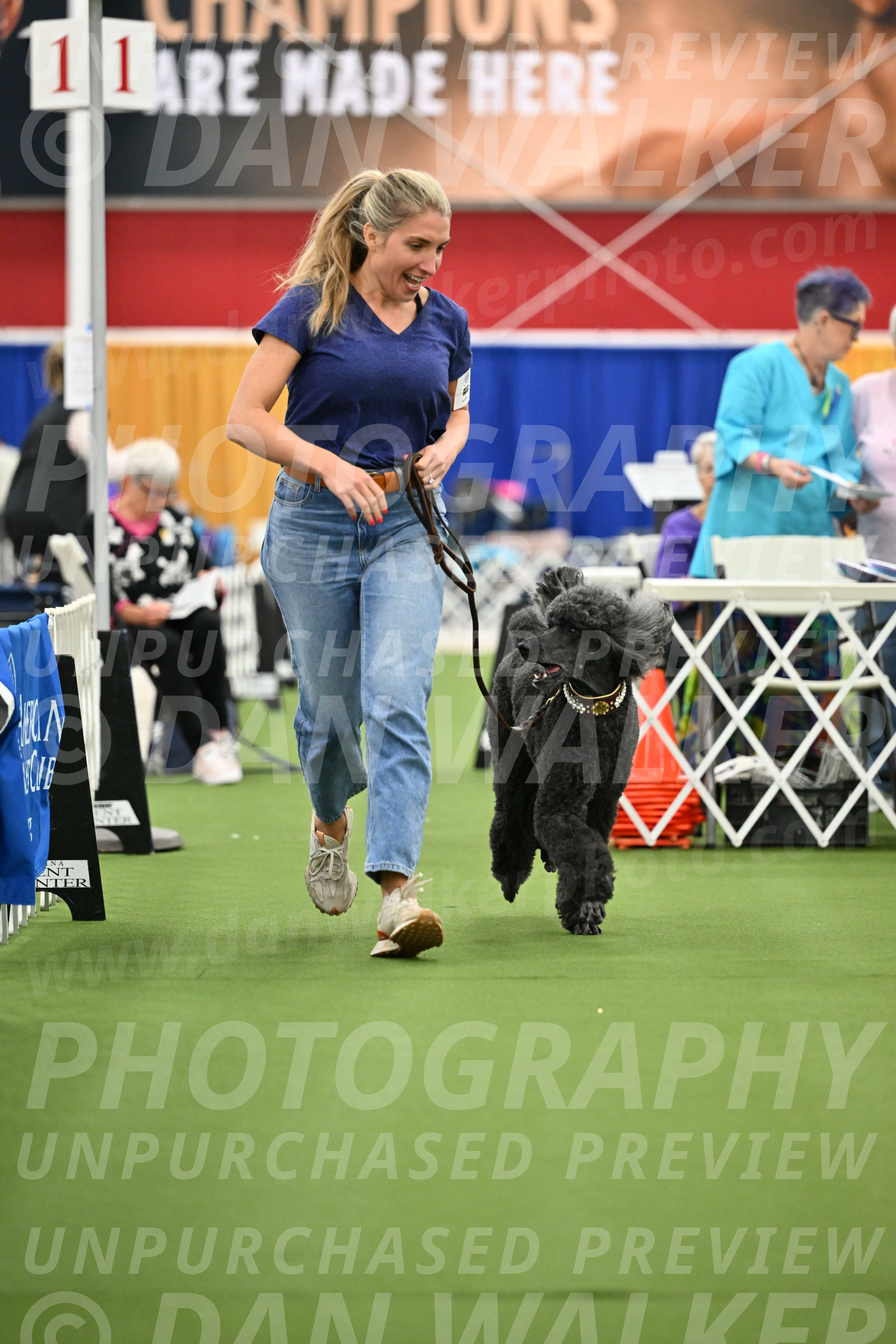Parade-of-Titles_2796