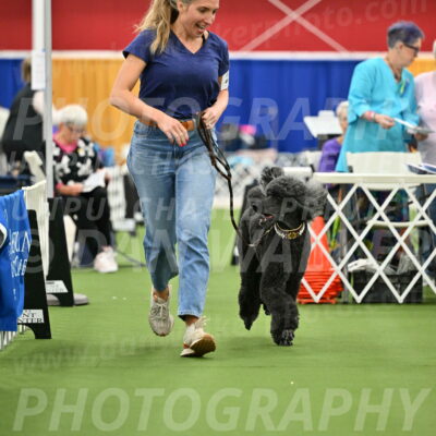 Parade-of-Titles_2796