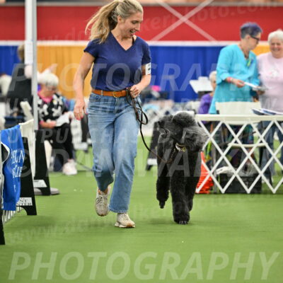 Parade-of-Titles_2797