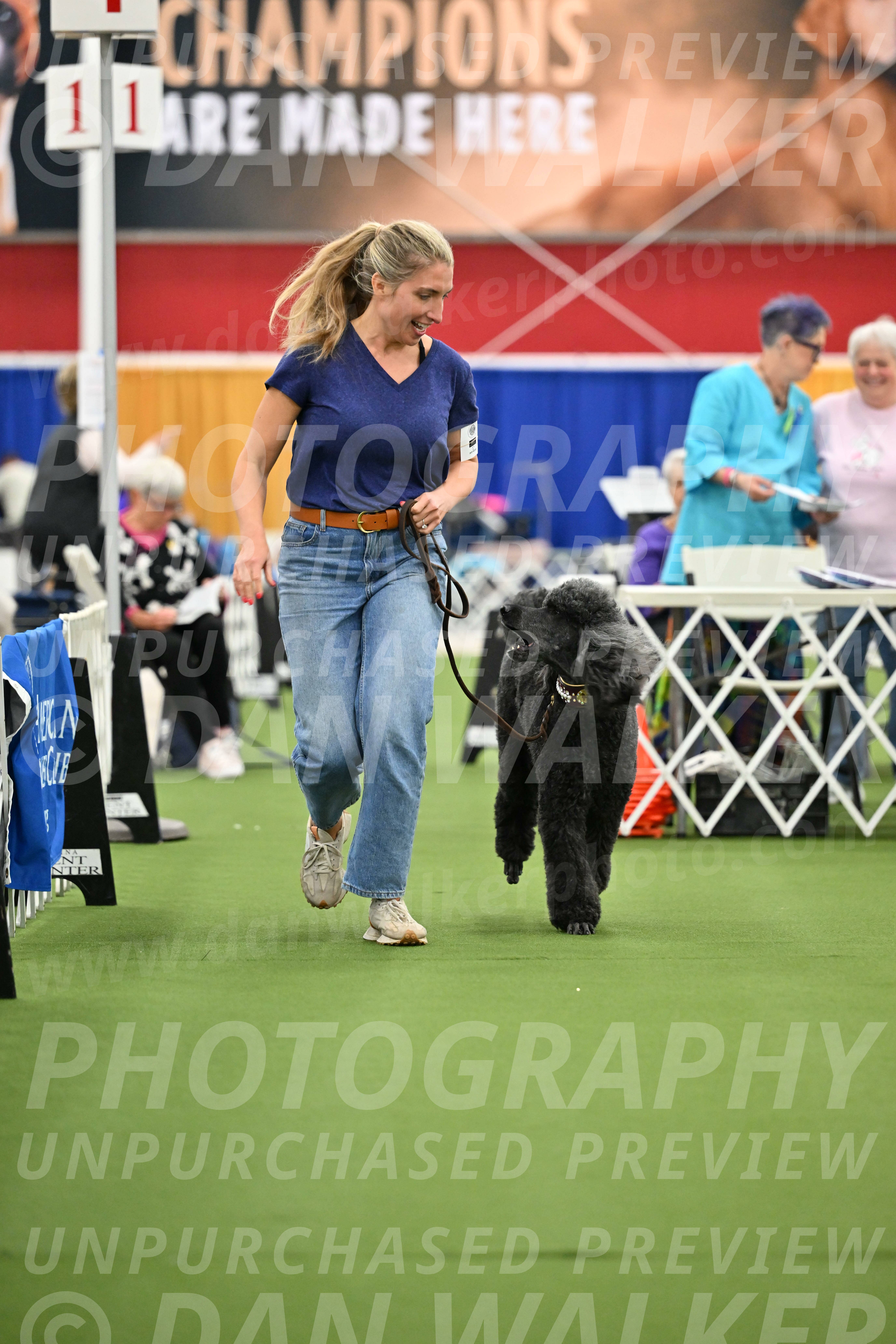 Parade-of-Titles_2797
