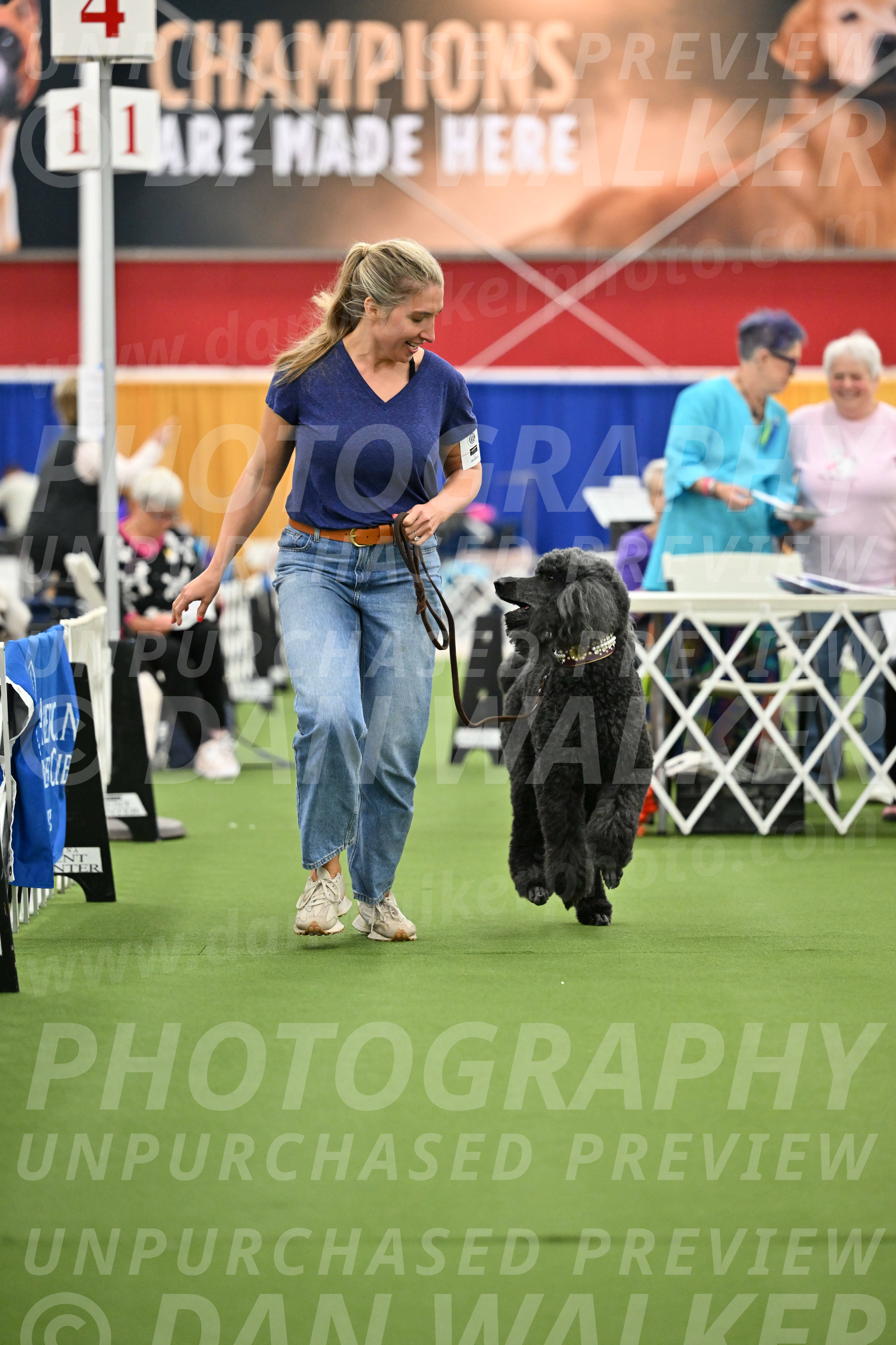 Parade-of-Titles_2798