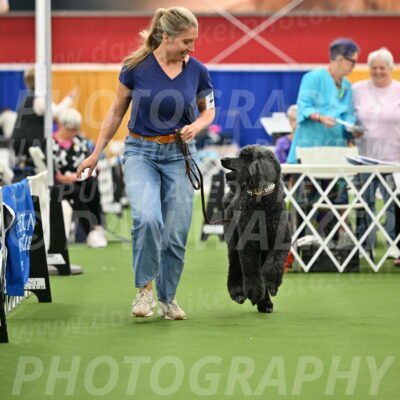 Parade-of-Titles_2798