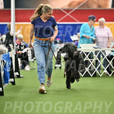 Parade-of-Titles_2799