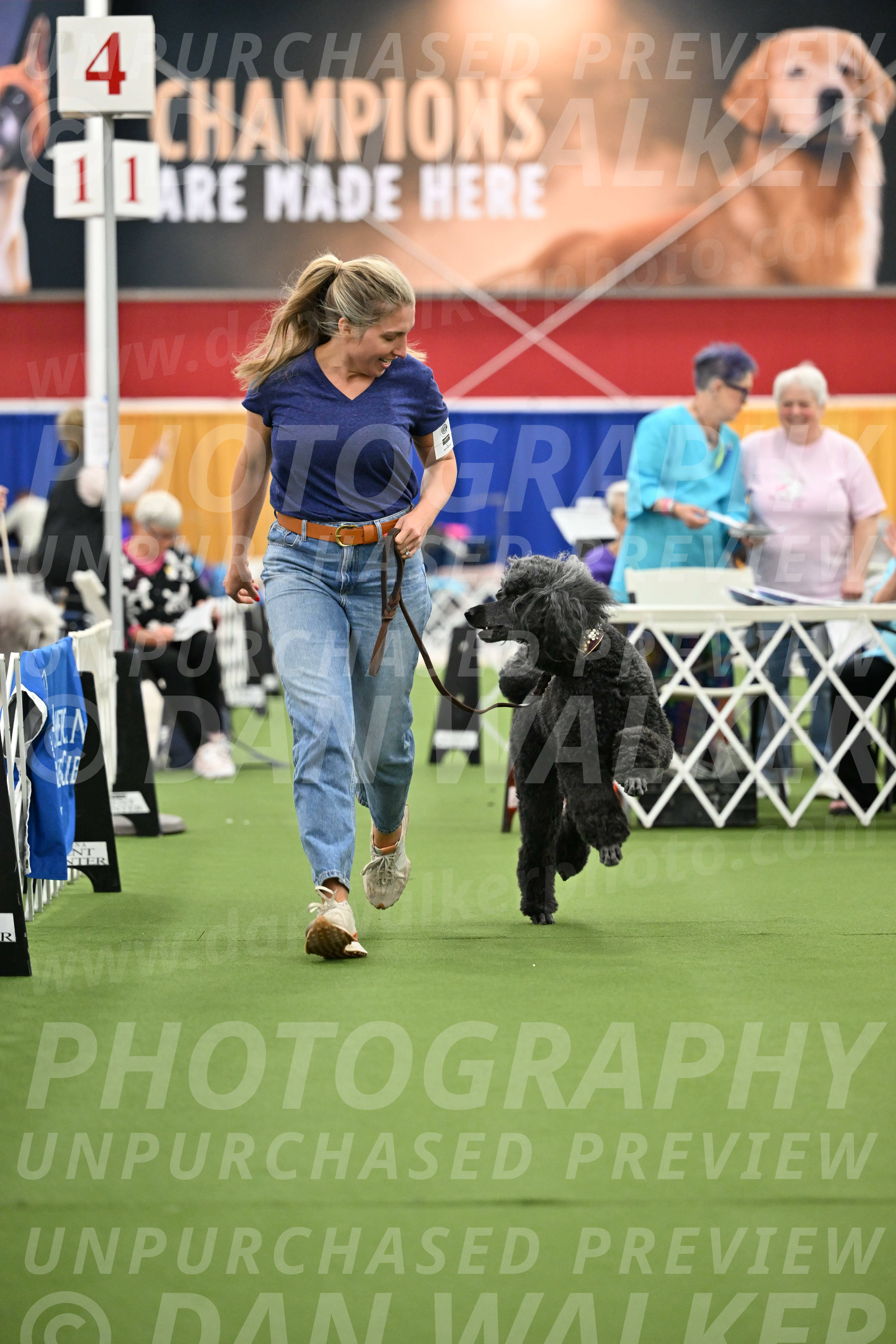 Parade-of-Titles_2799