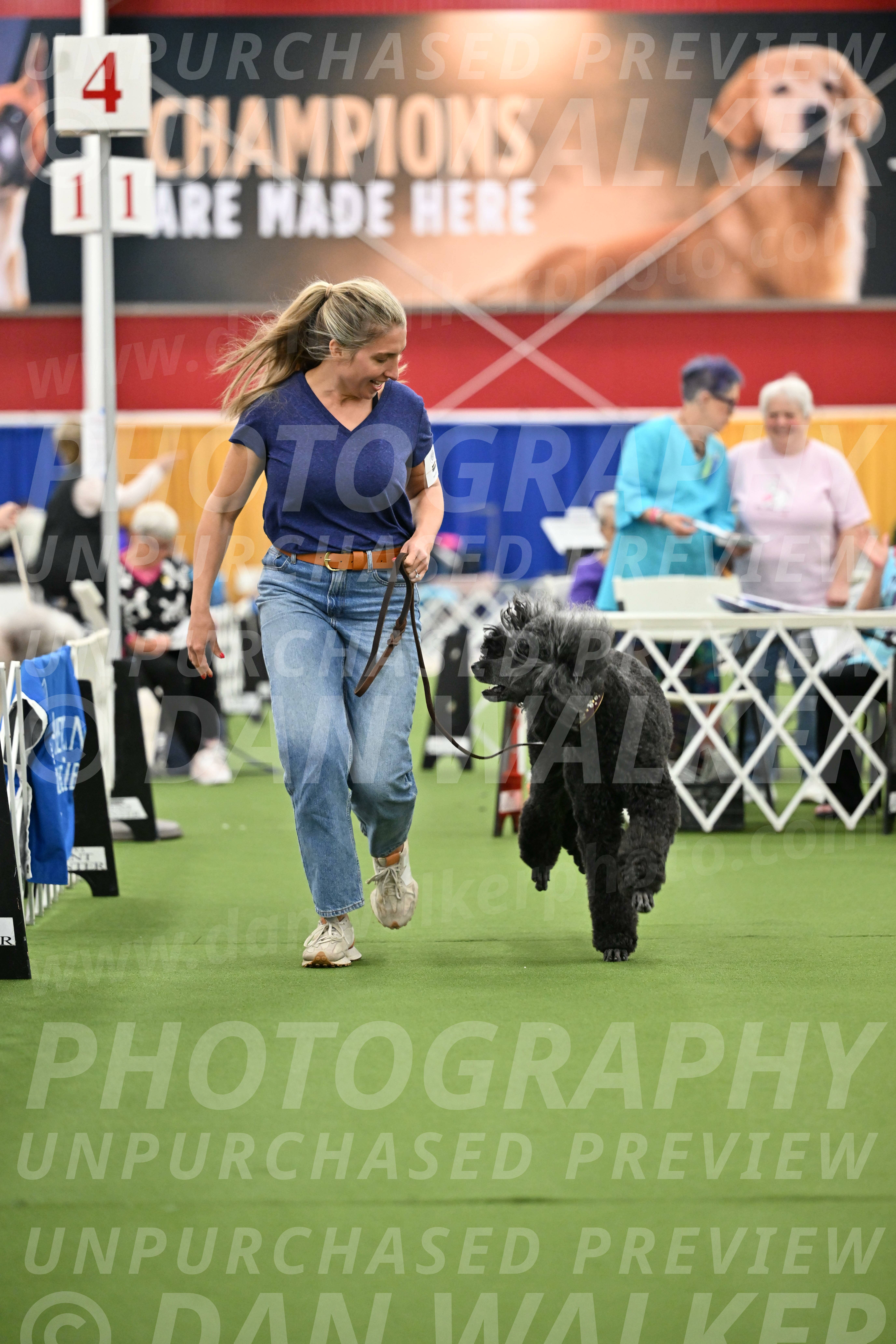 Parade-of-Titles_2800