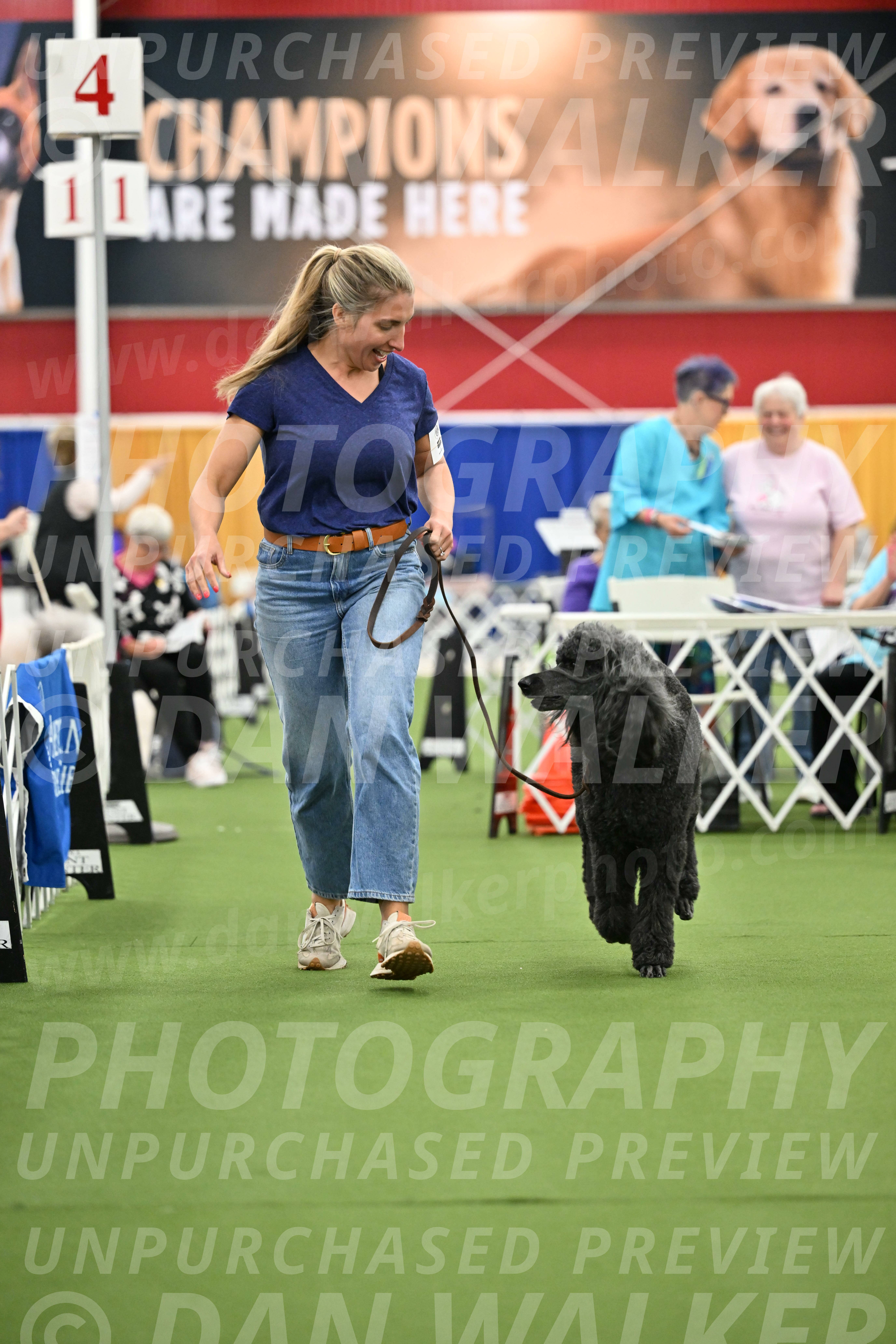Parade-of-Titles_2801