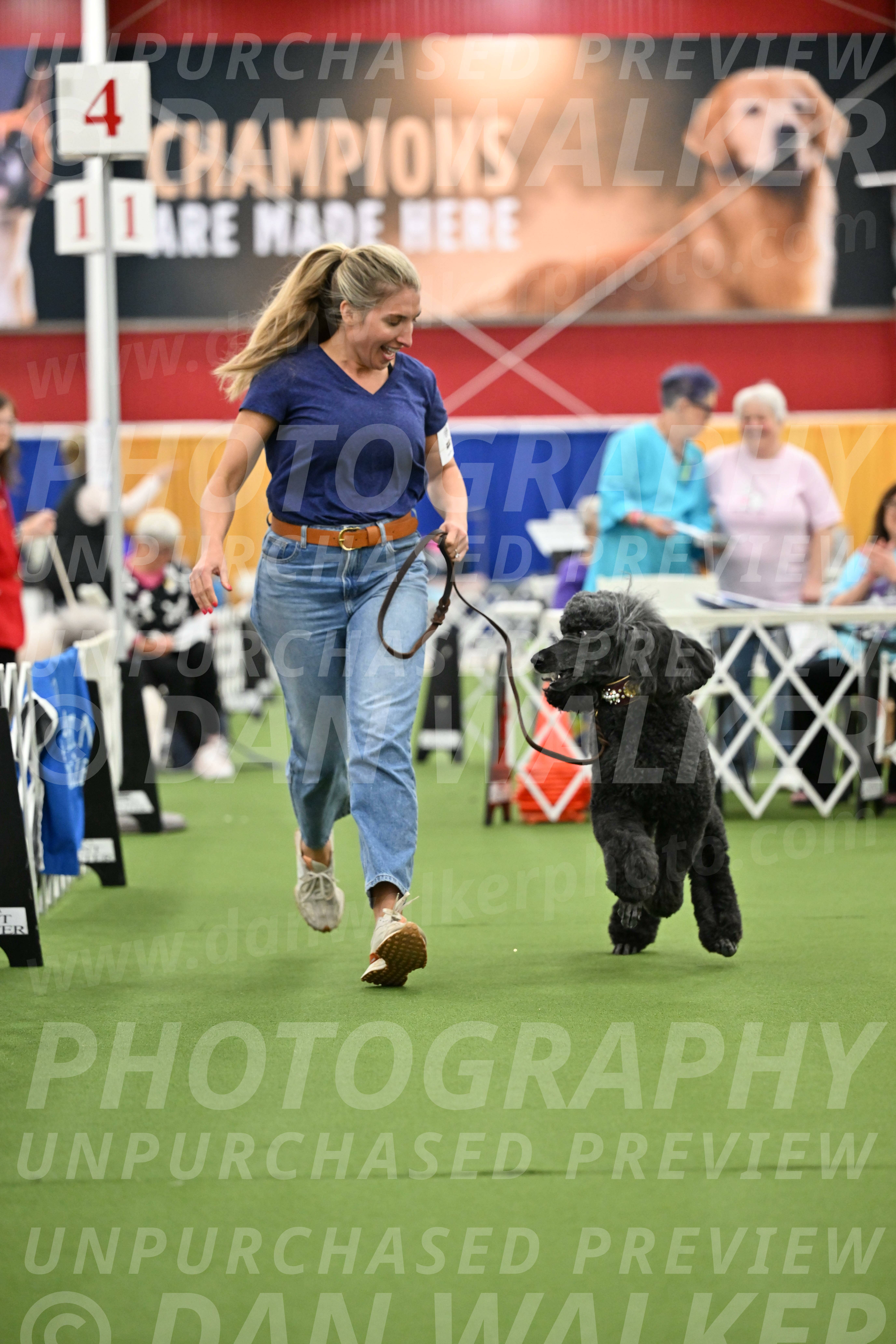 Parade-of-Titles_2802