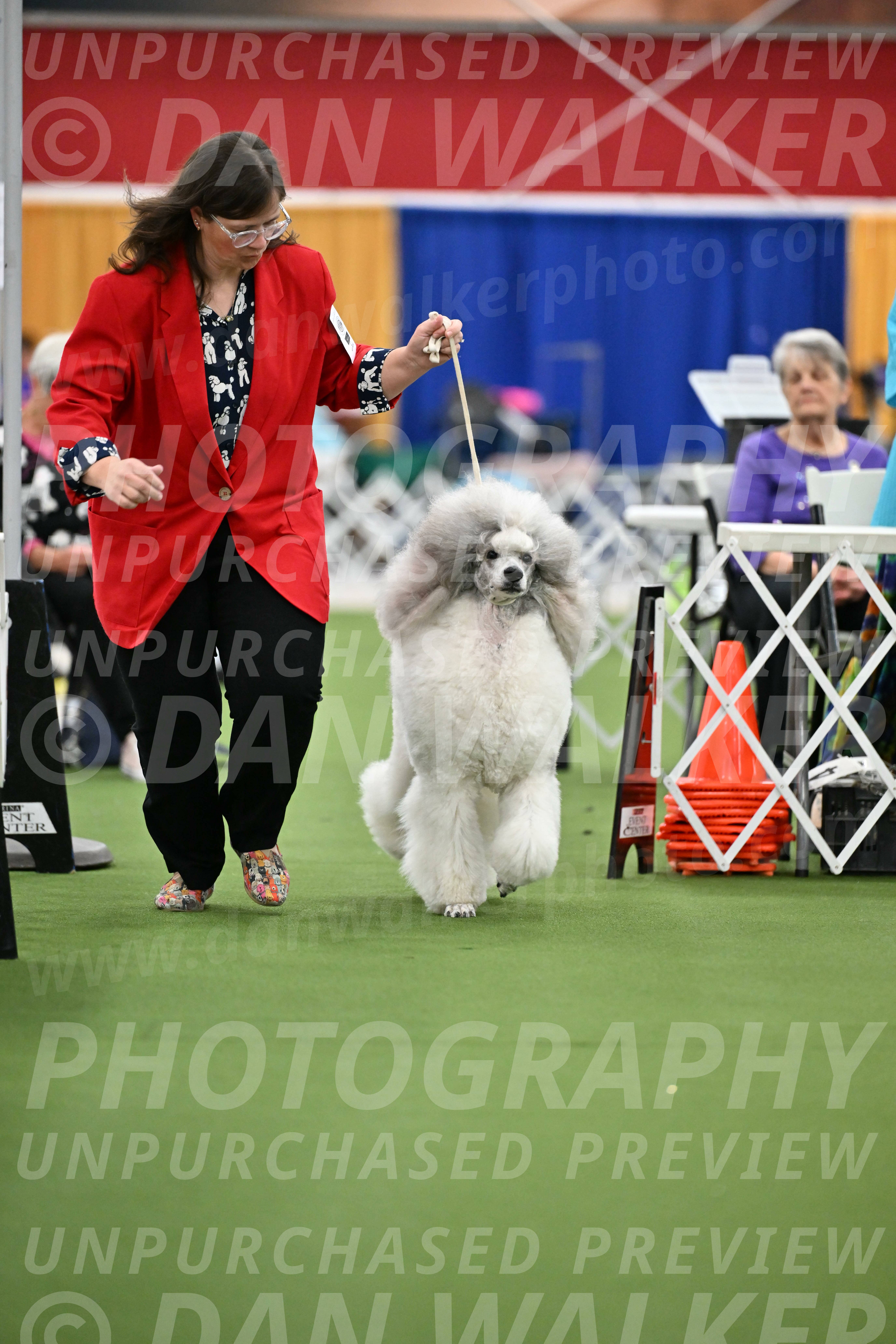 Parade-of-Titles_2807