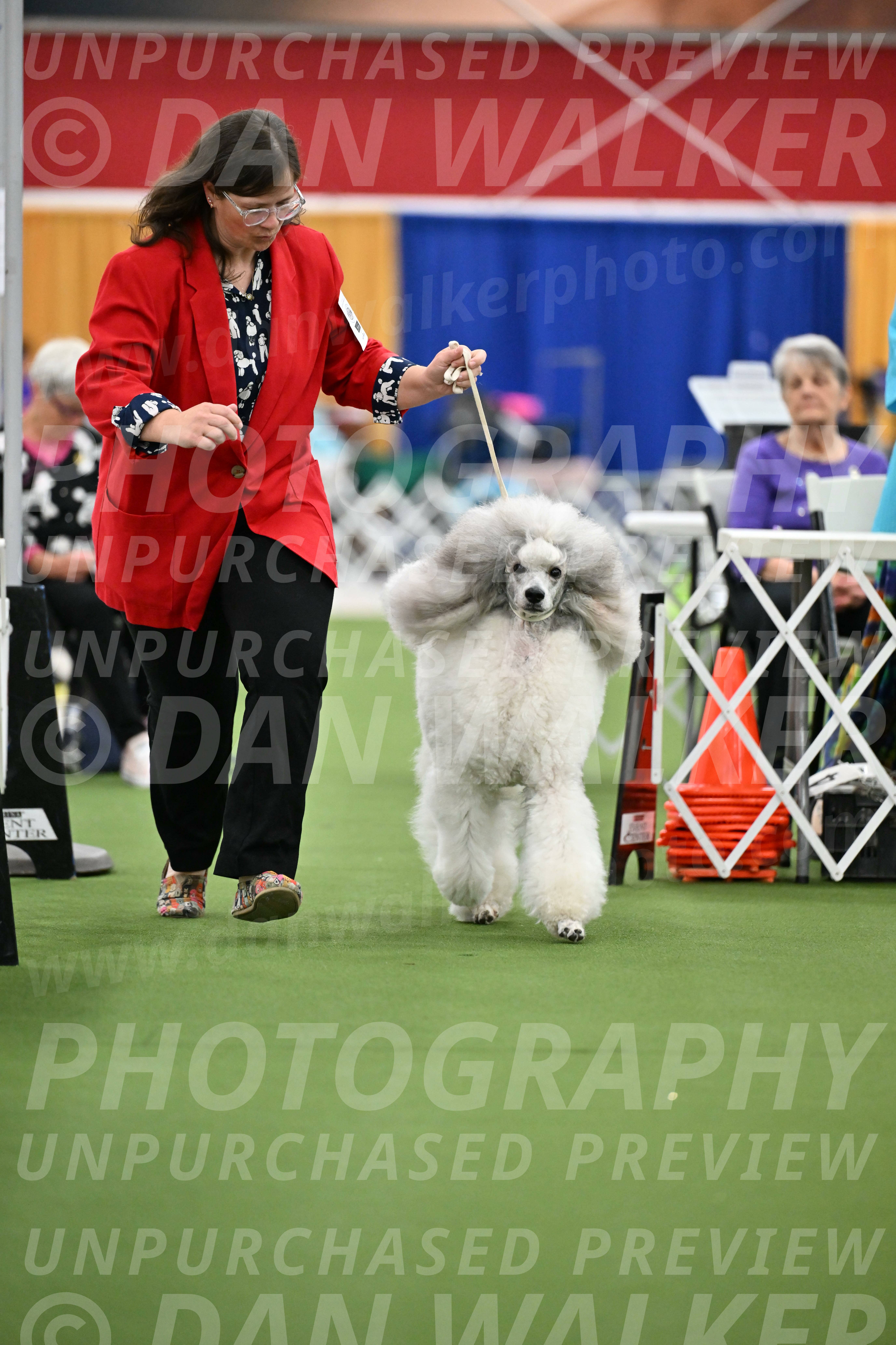 Parade-of-Titles_2808