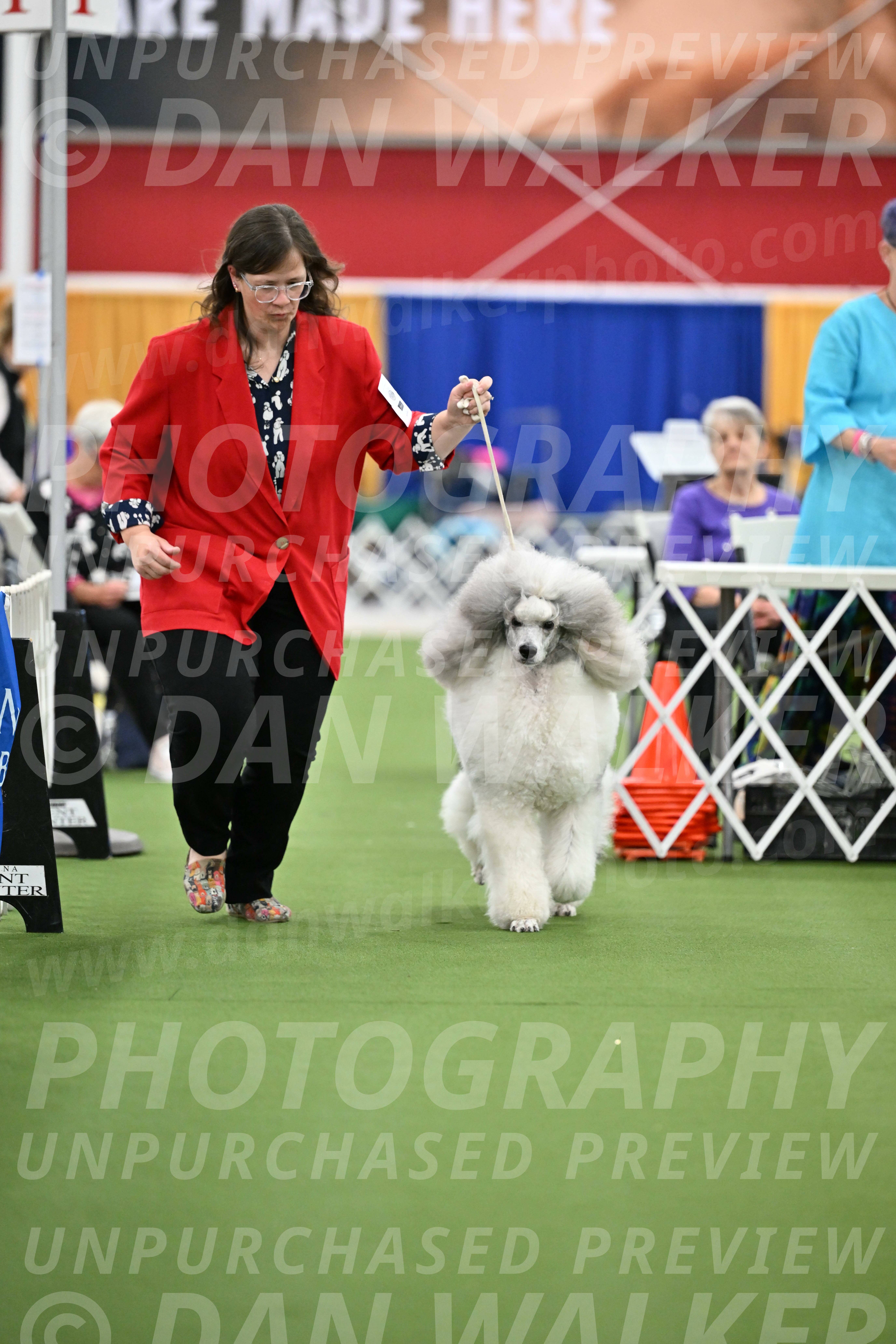 Parade-of-Titles_2809