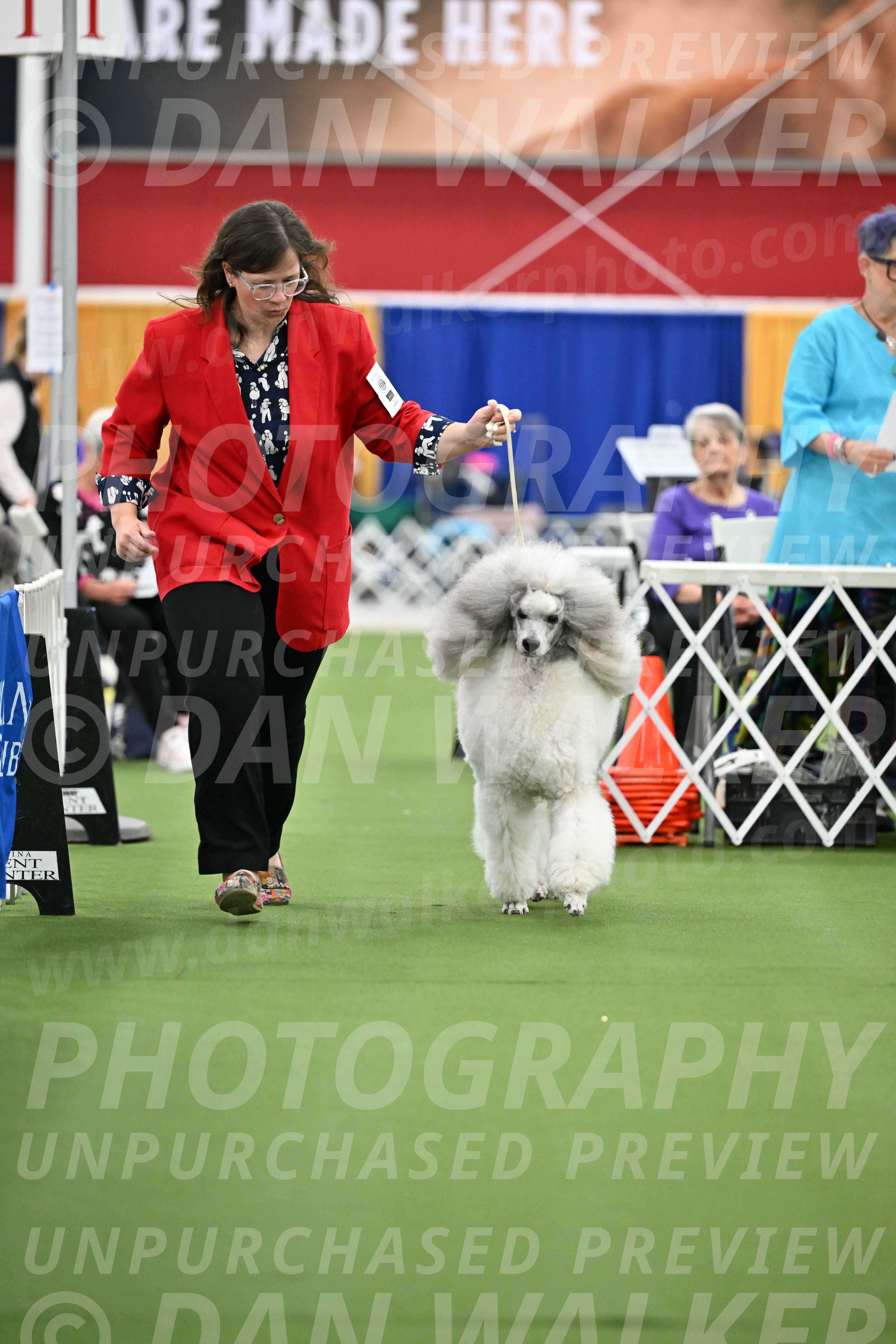 Parade-of-Titles_2810