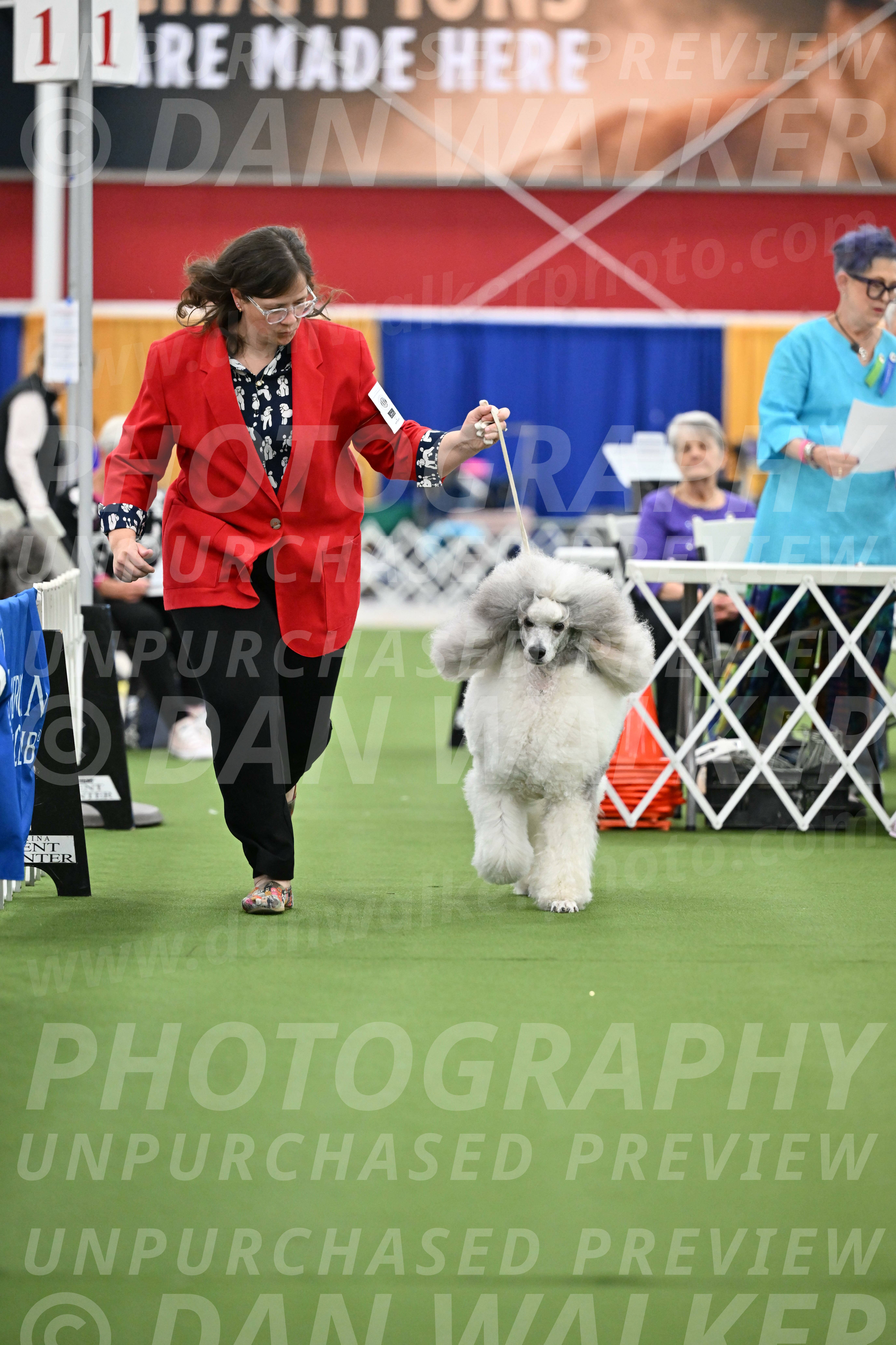 Parade-of-Titles_2811