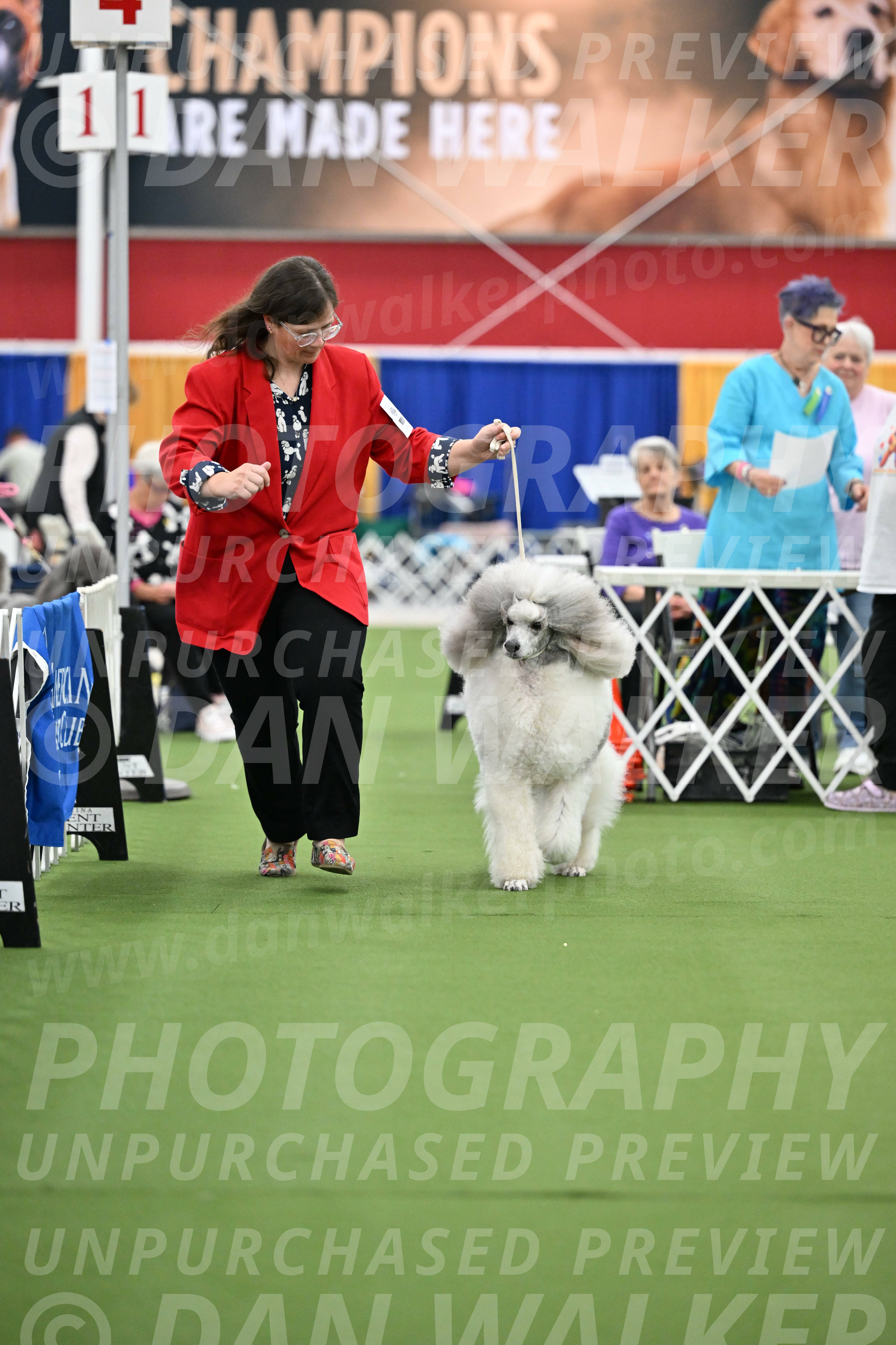 Parade-of-Titles_2813