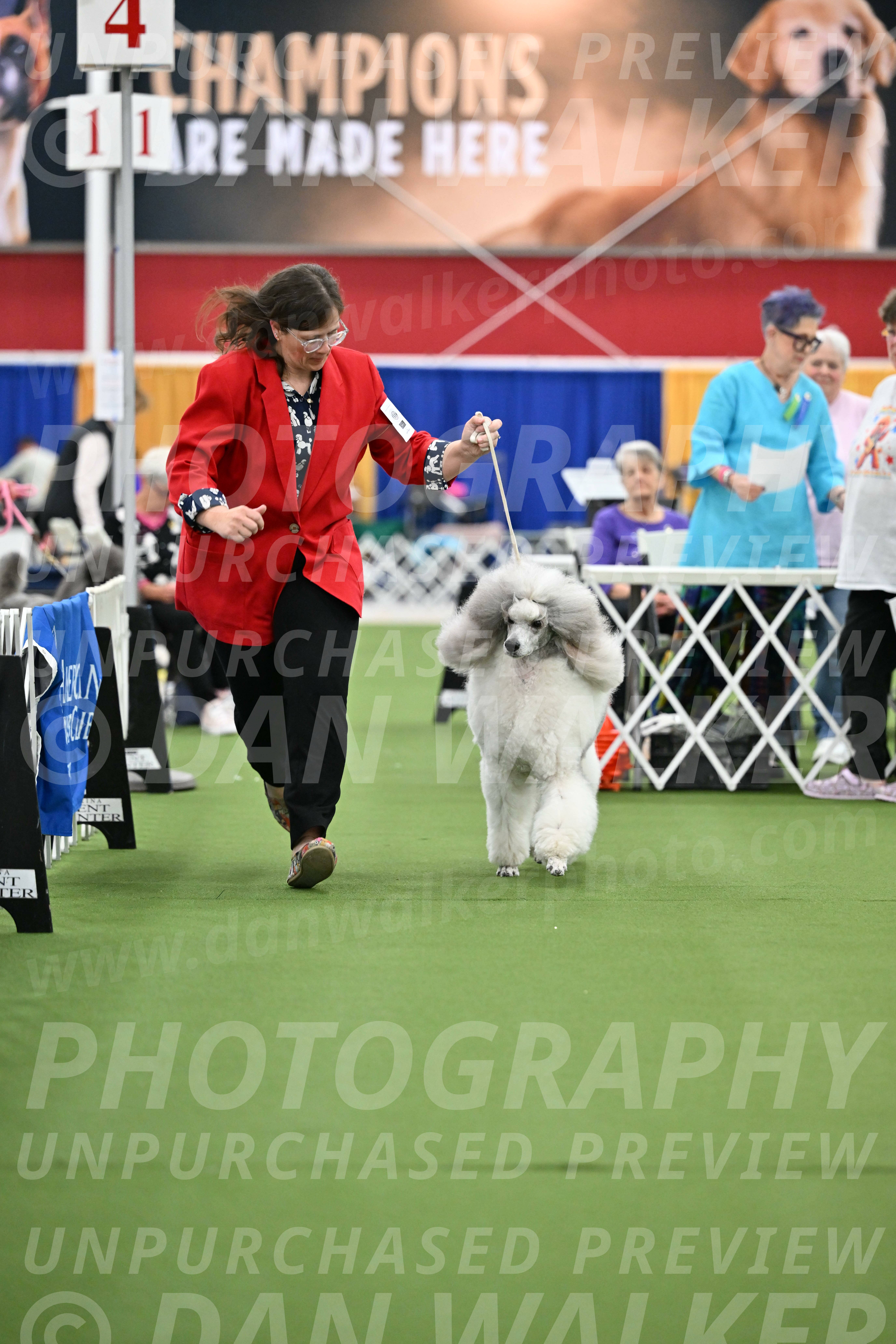 Parade-of-Titles_2814