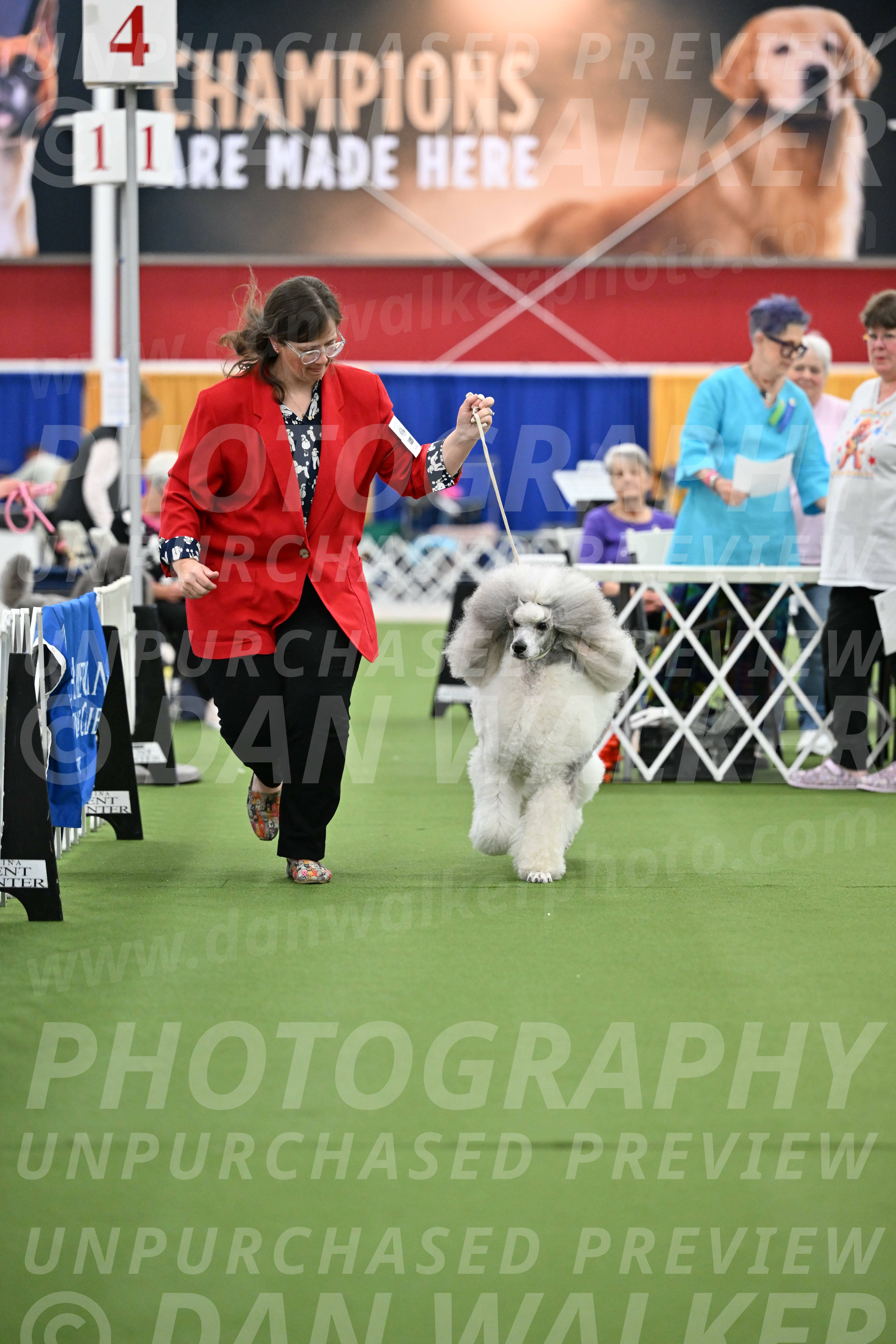 Parade-of-Titles_2815