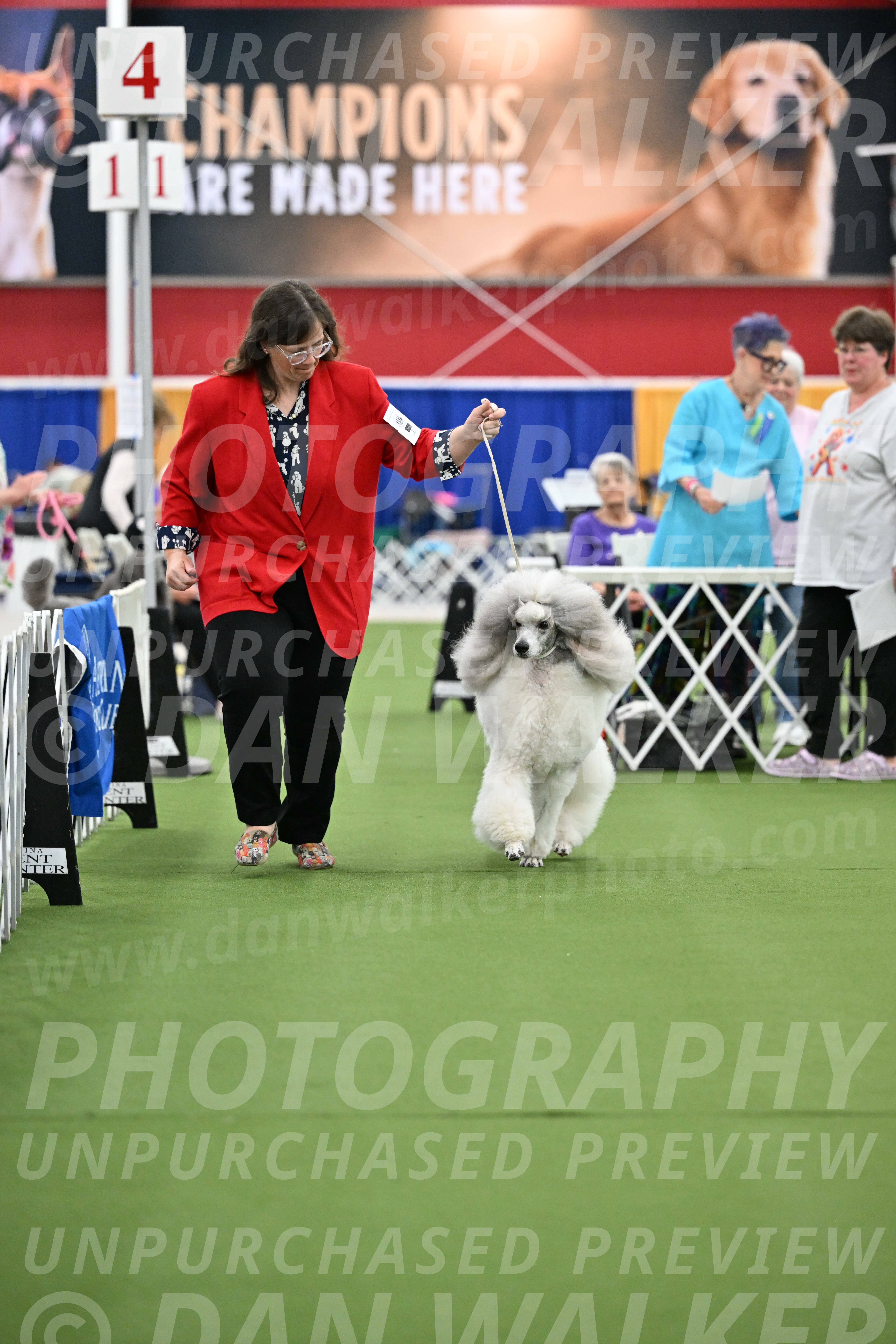 Parade-of-Titles_2816