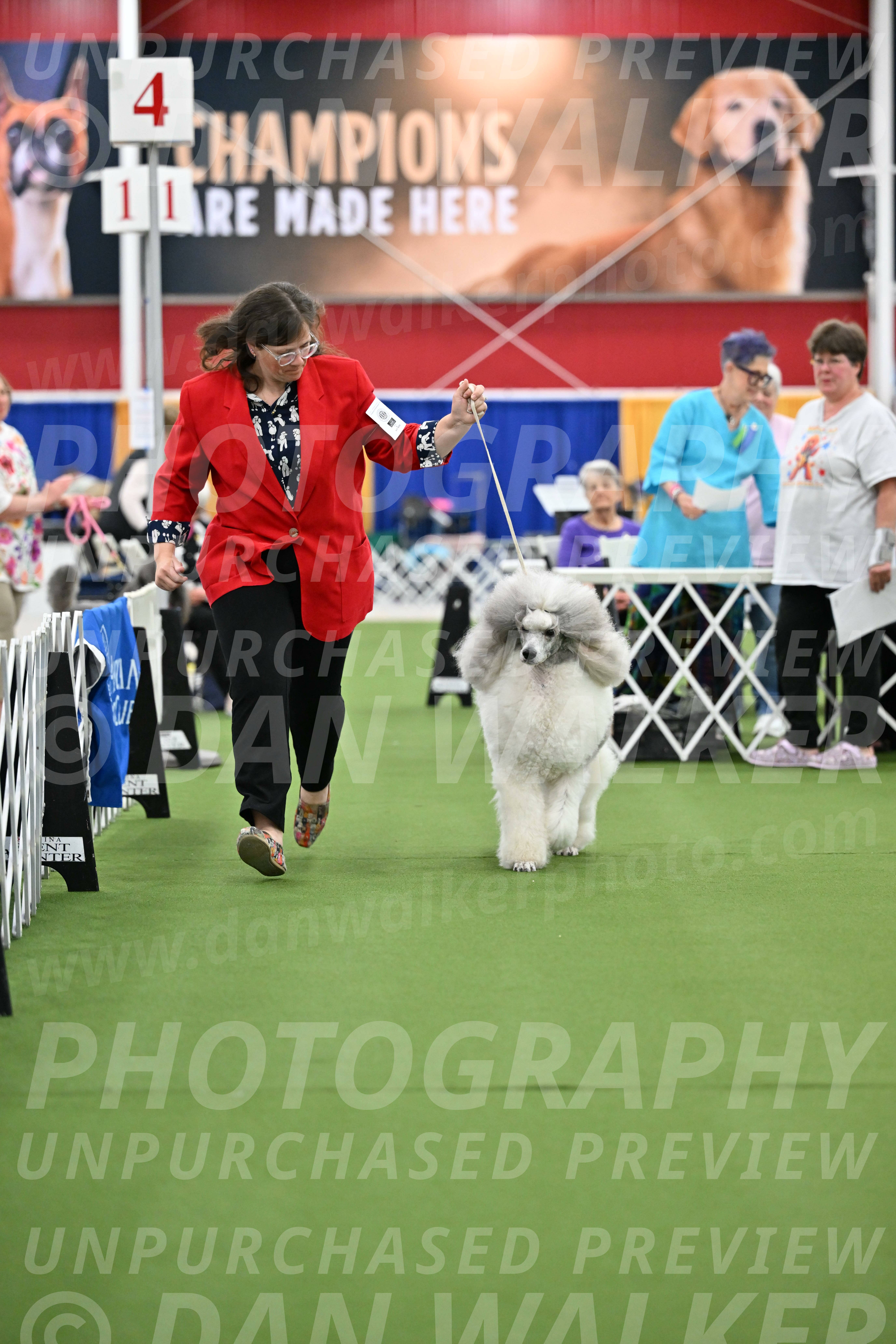 Parade-of-Titles_2817