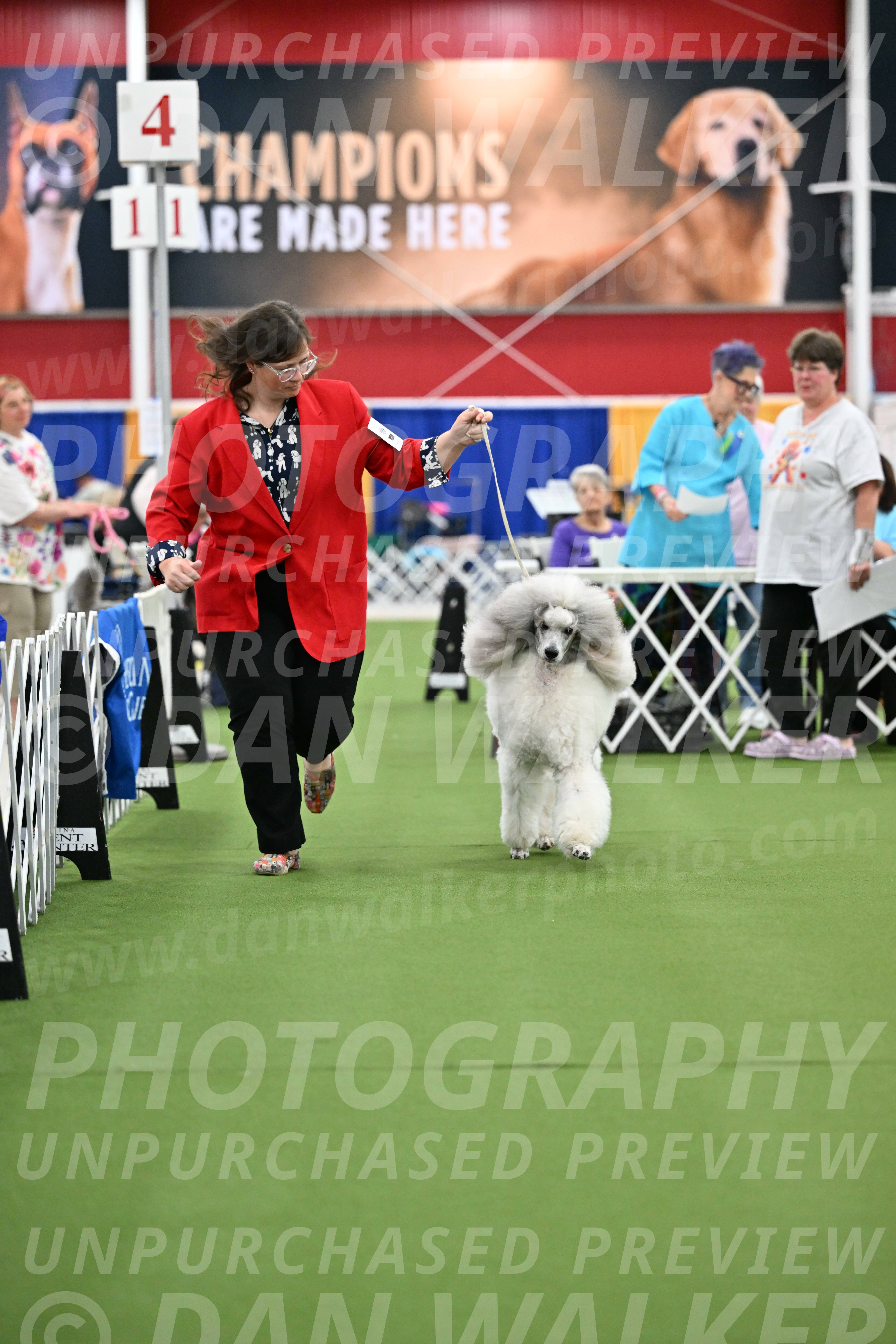 Parade-of-Titles_2818