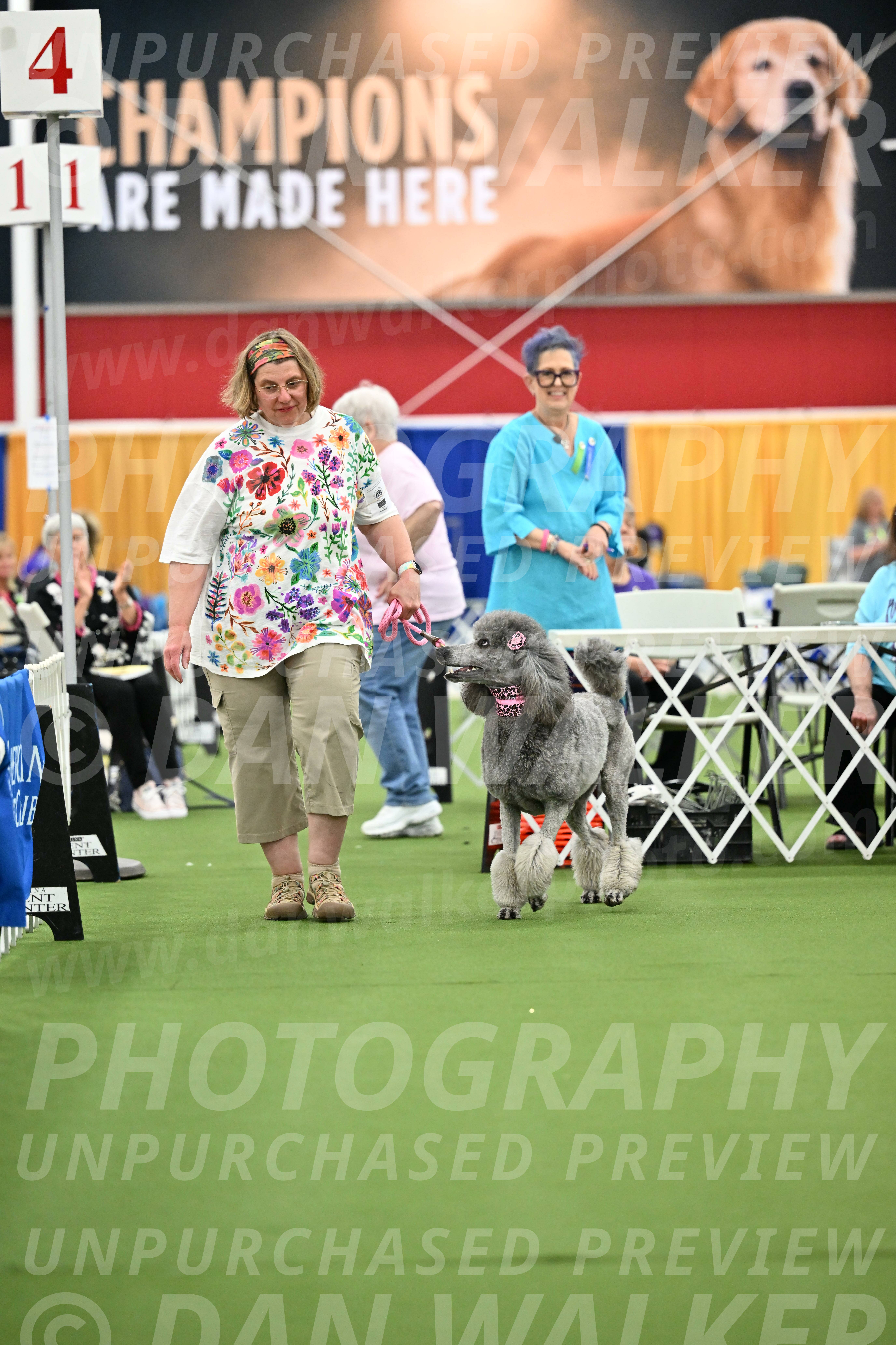Parade-of-Titles_2833