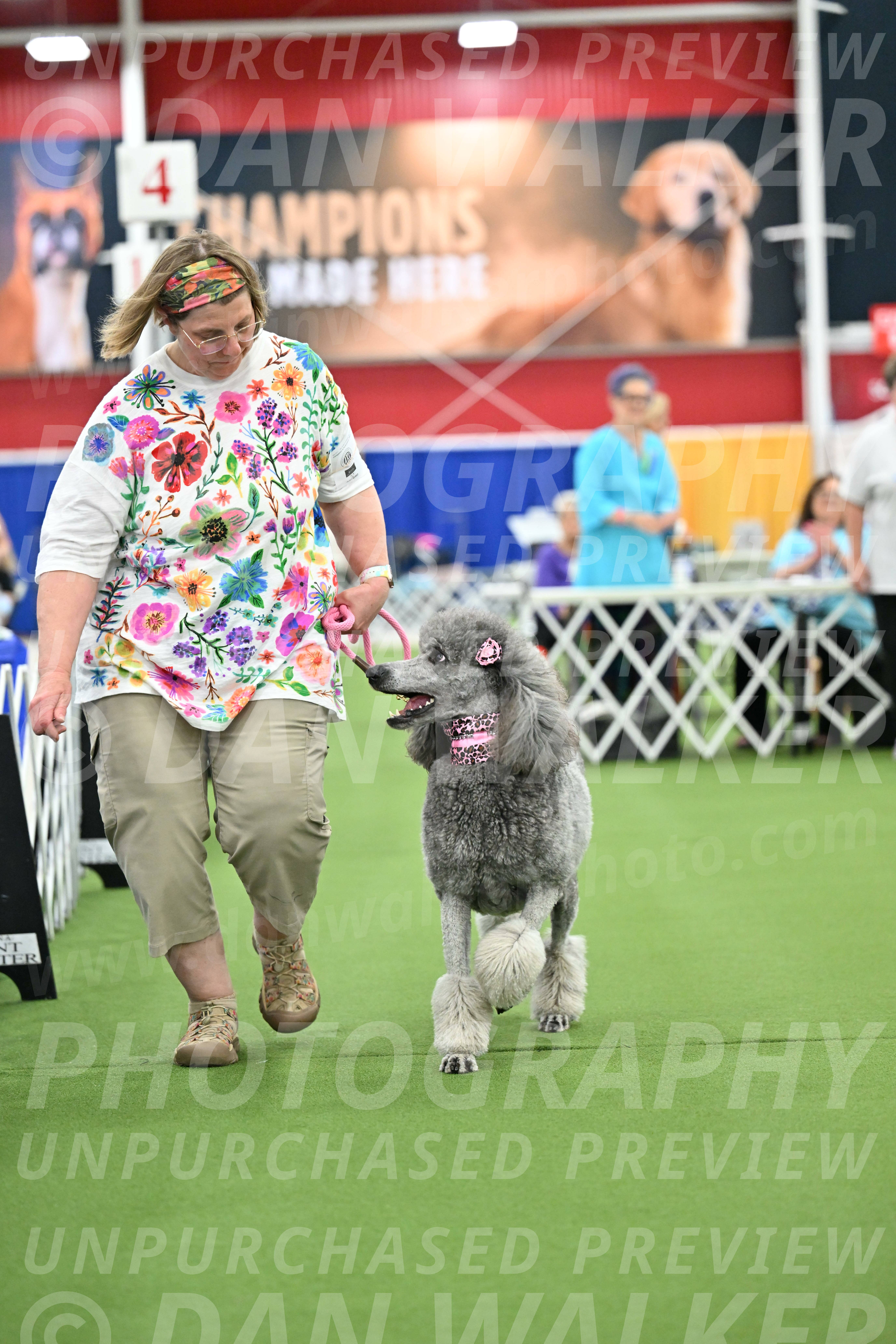 Parade-of-Titles_2834