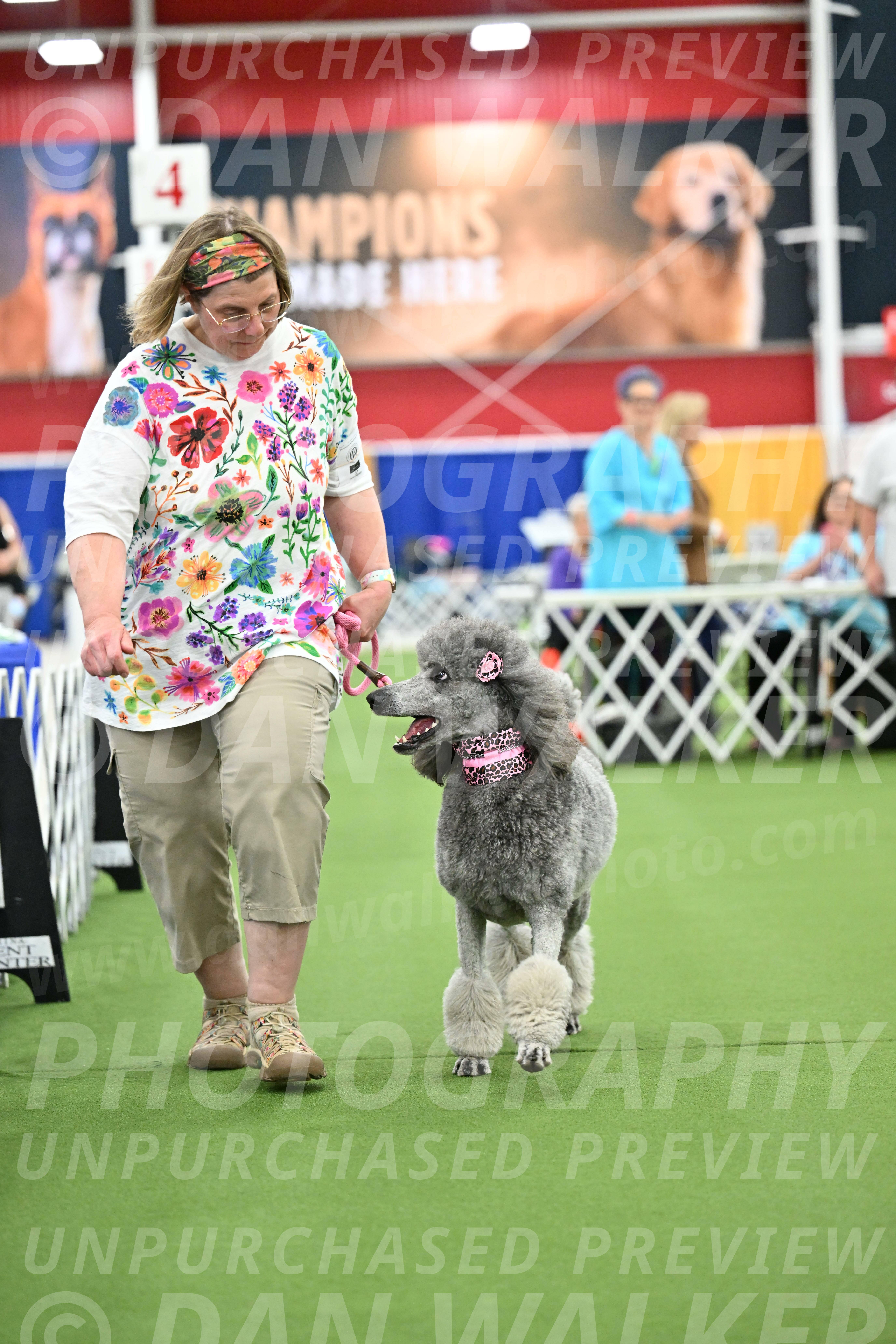 Parade-of-Titles_2835