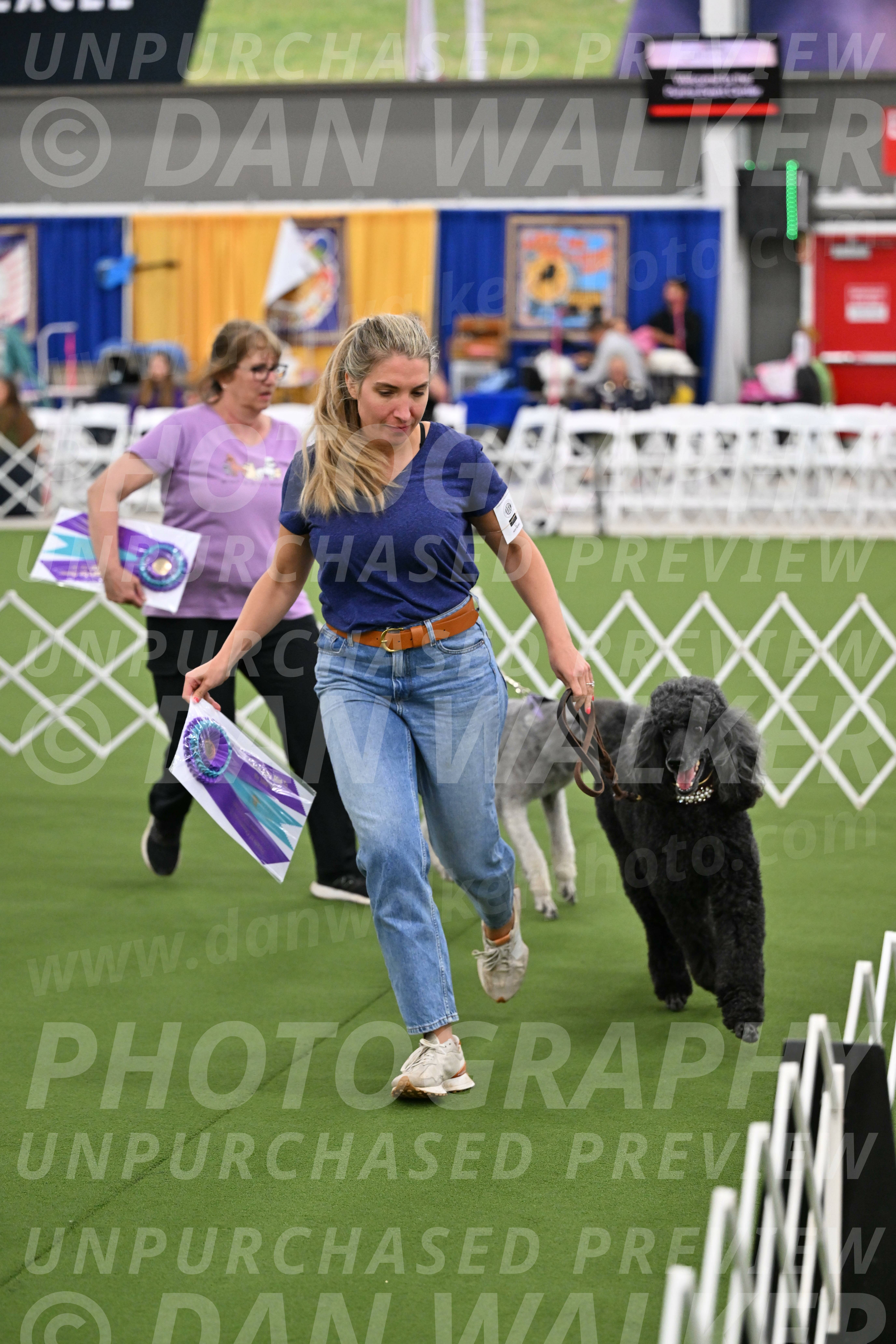 Parade-of-Titles_2836