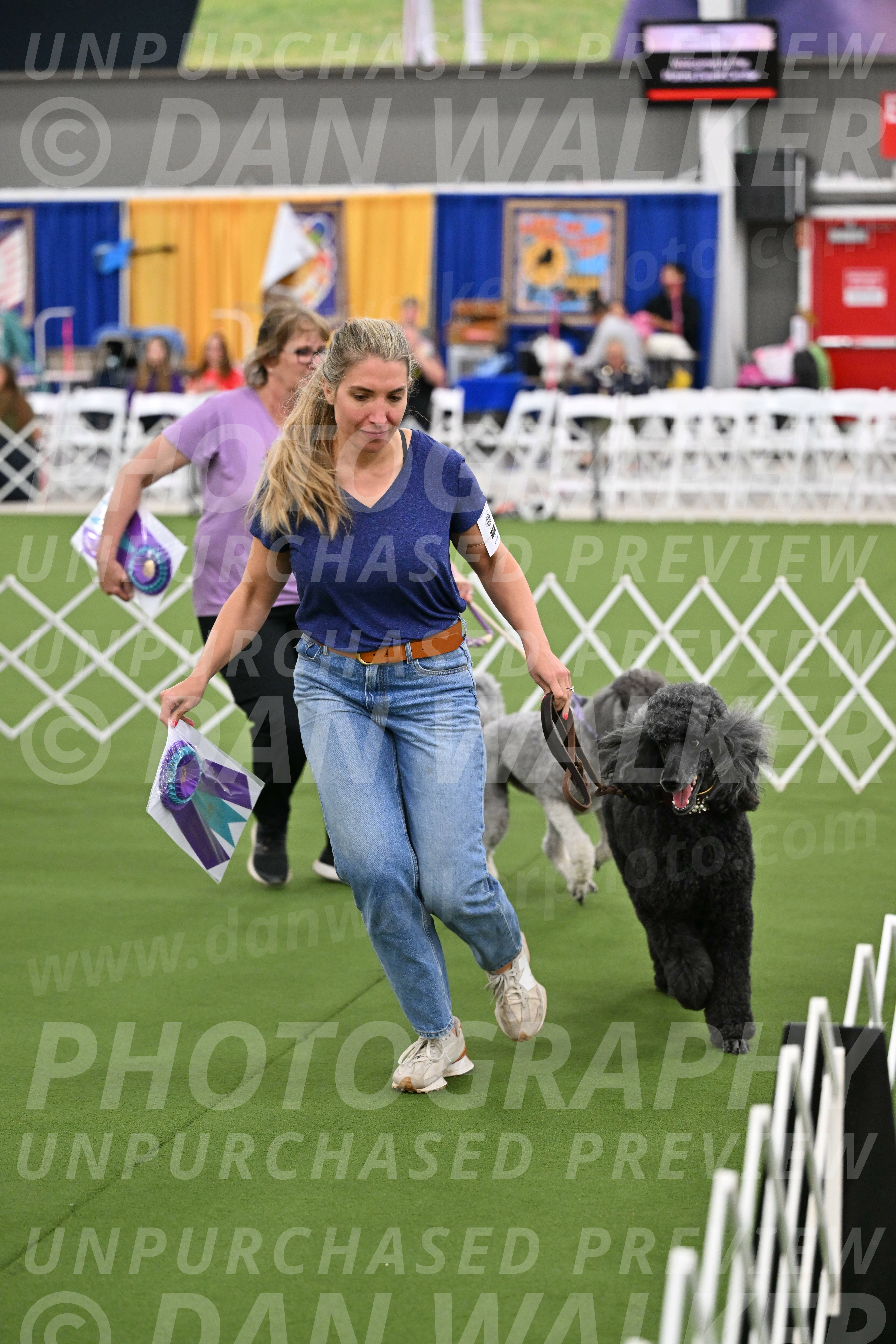 Parade-of-Titles_2837