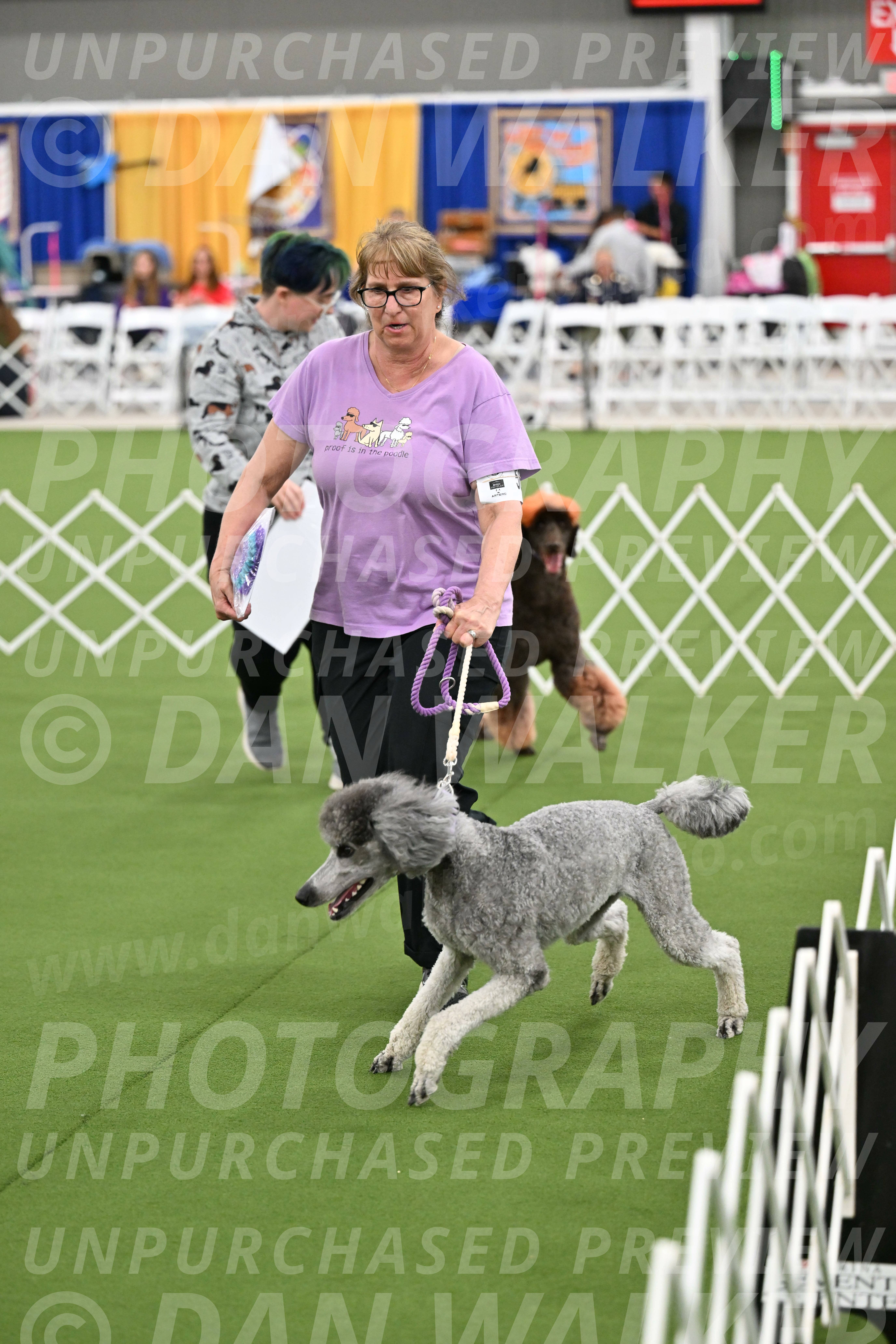 Parade-of-Titles_2839