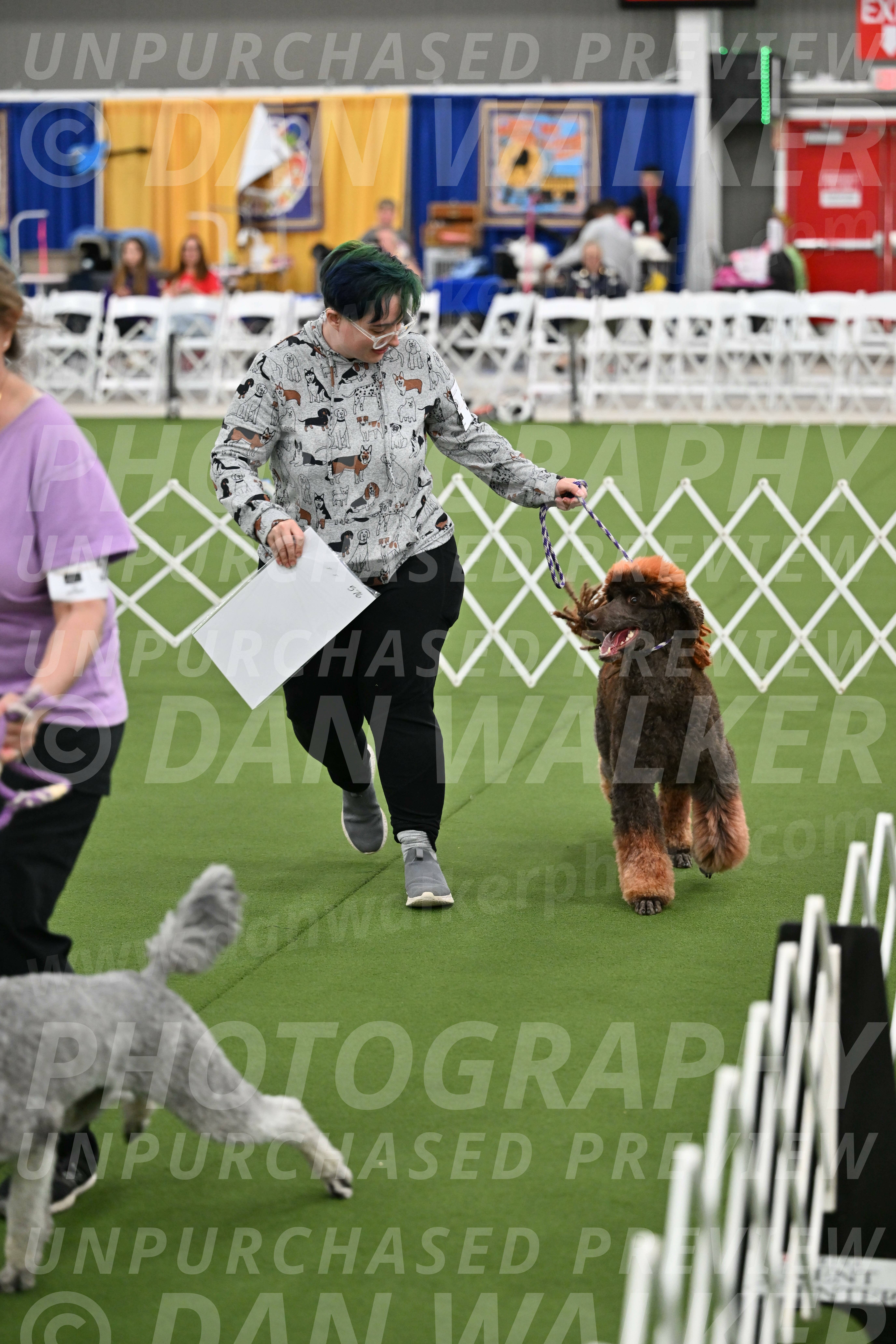 Parade-of-Titles_2840