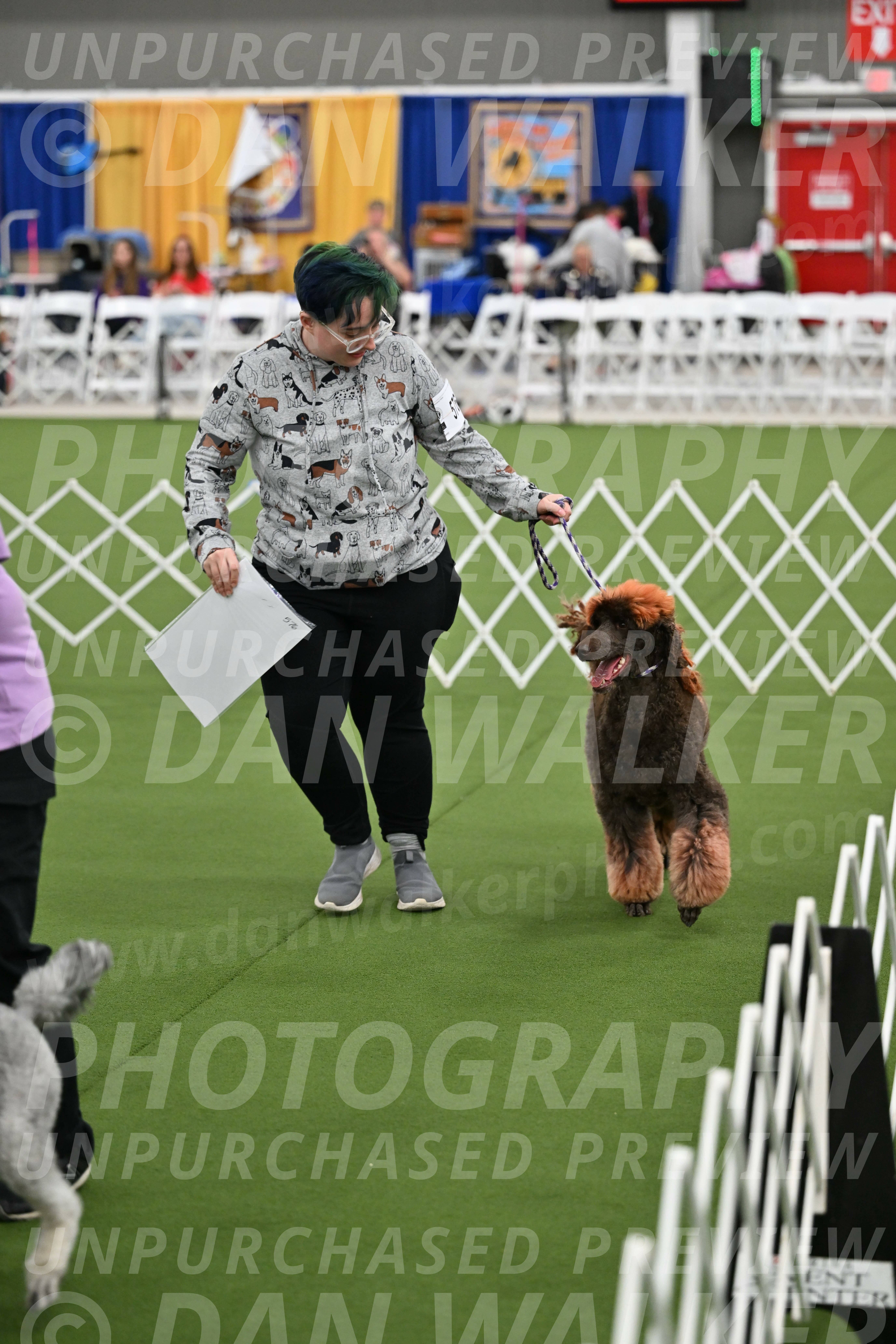 Parade-of-Titles_2841