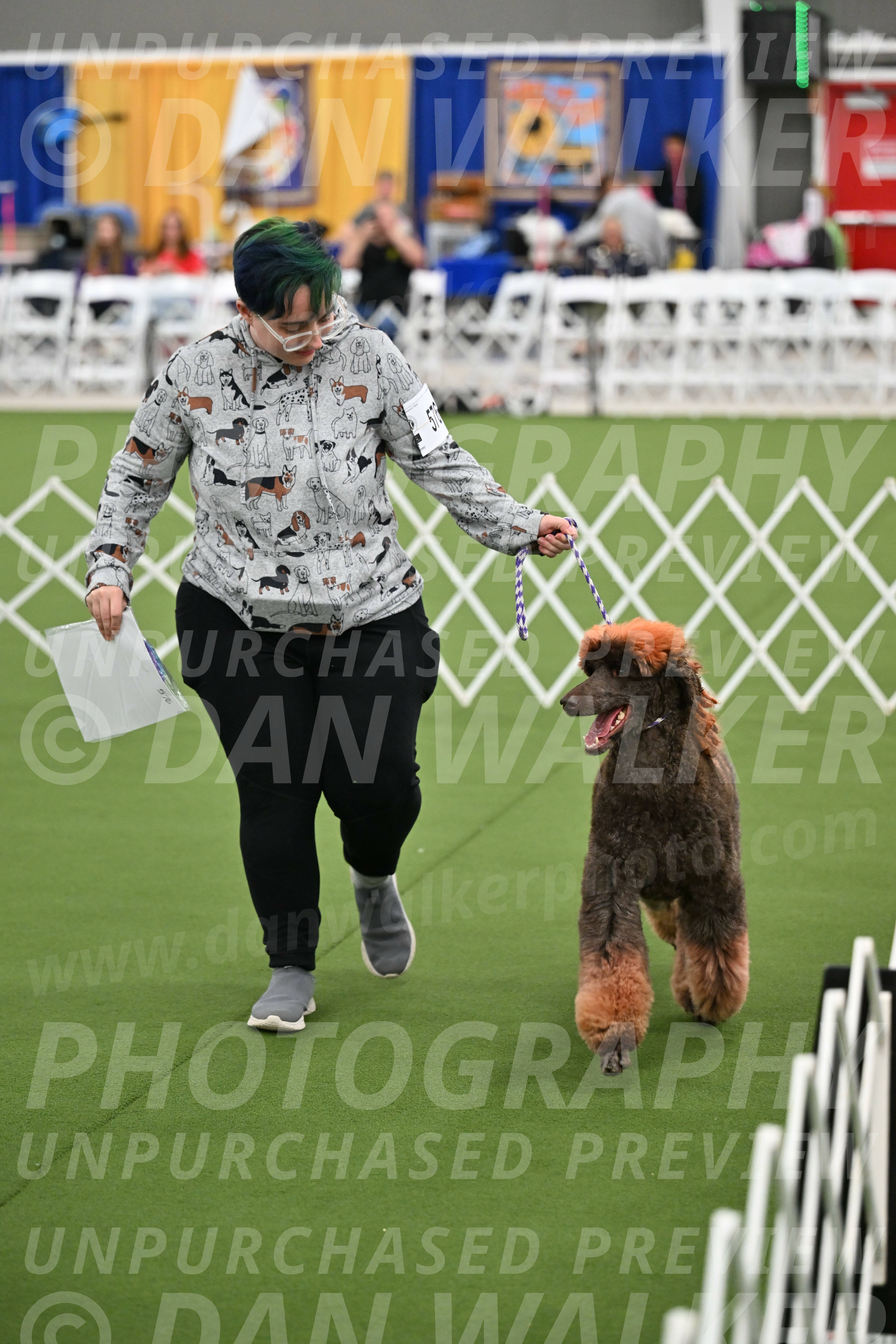 Parade-of-Titles_2843
